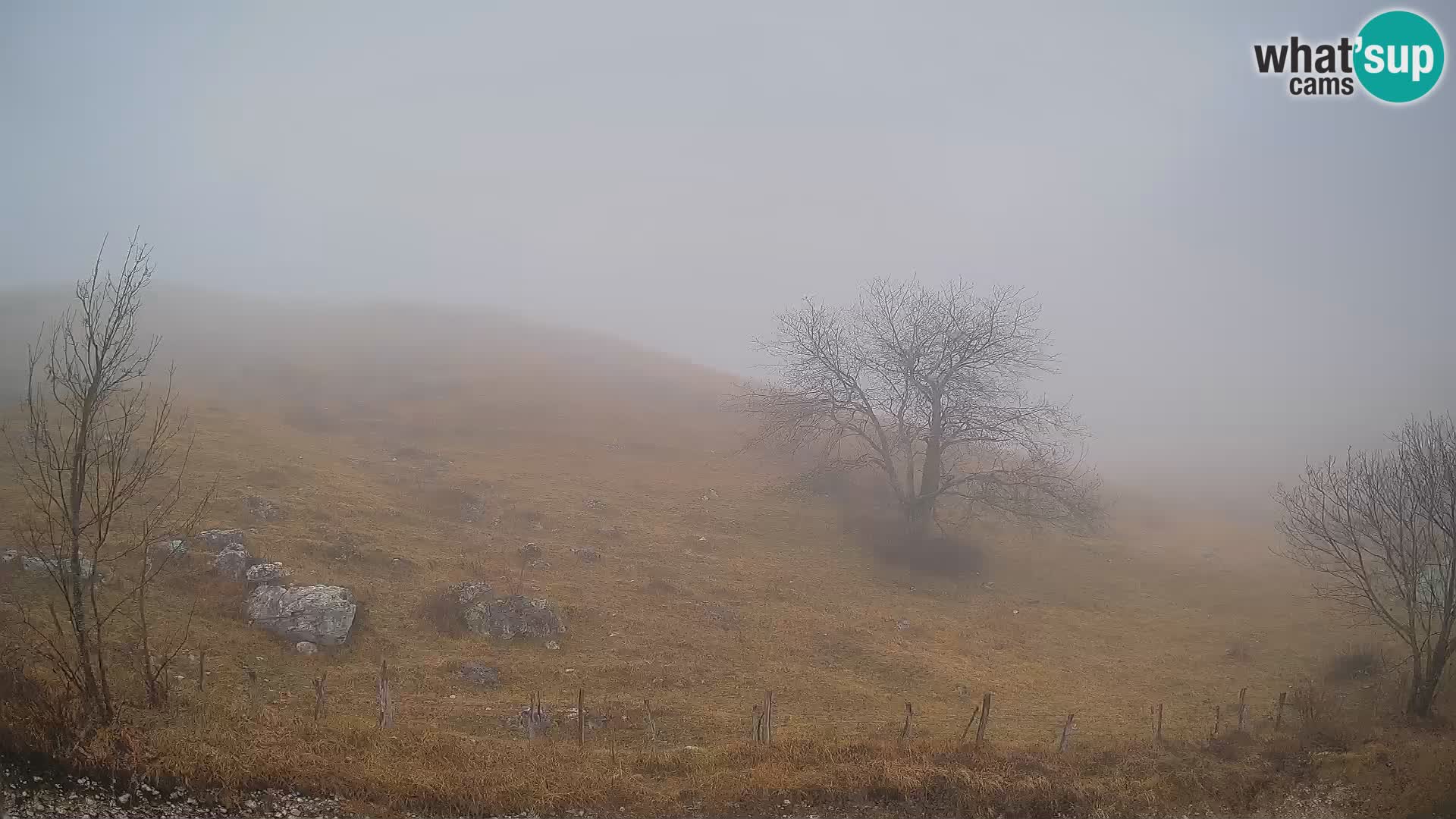 Web kamera Planina Kuhinja – KRN – Kobarid – Slovenija