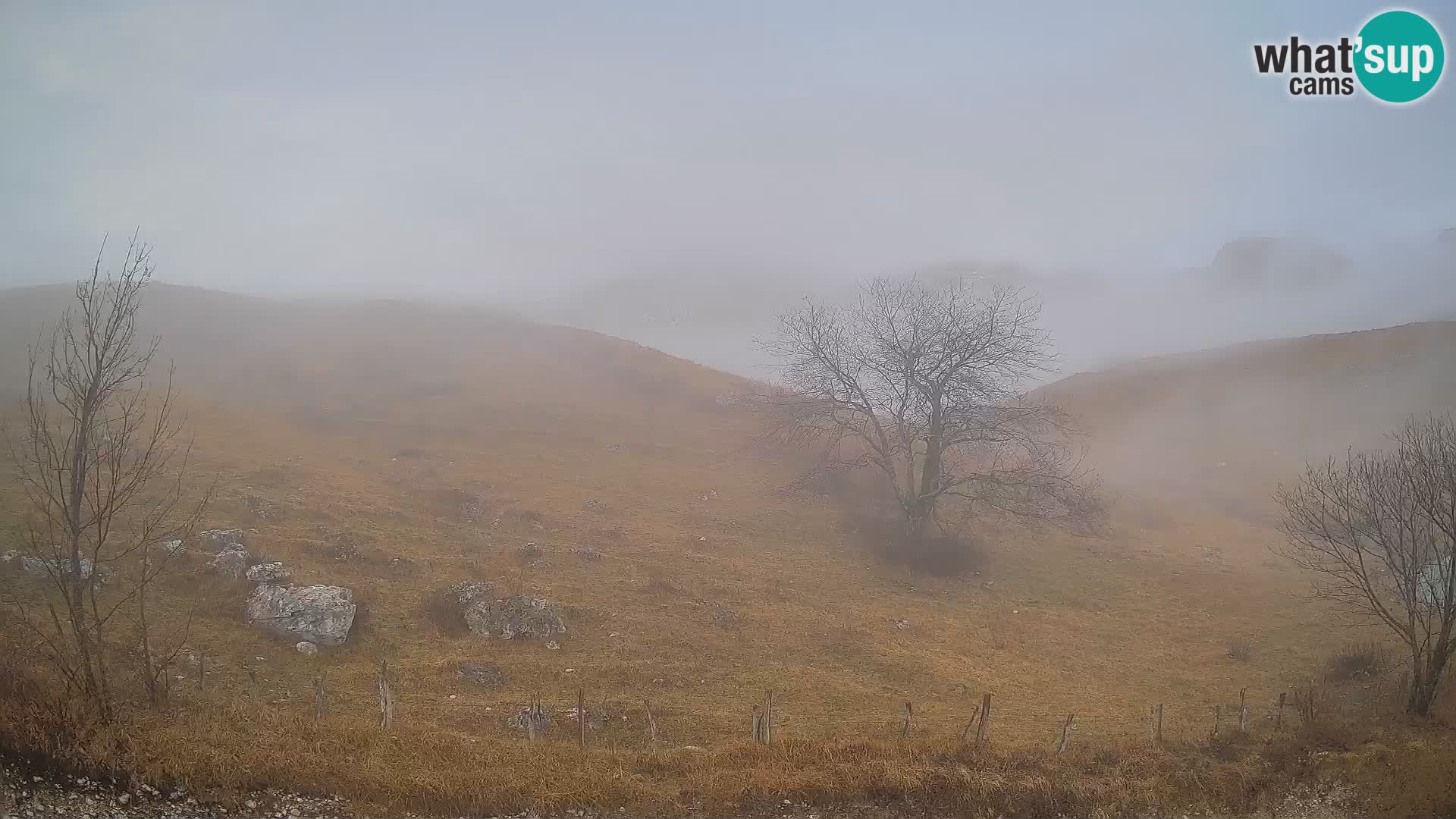 Cámara en Vivo de Planina Kuhinja – KRN – Kobarid – Eslovenia