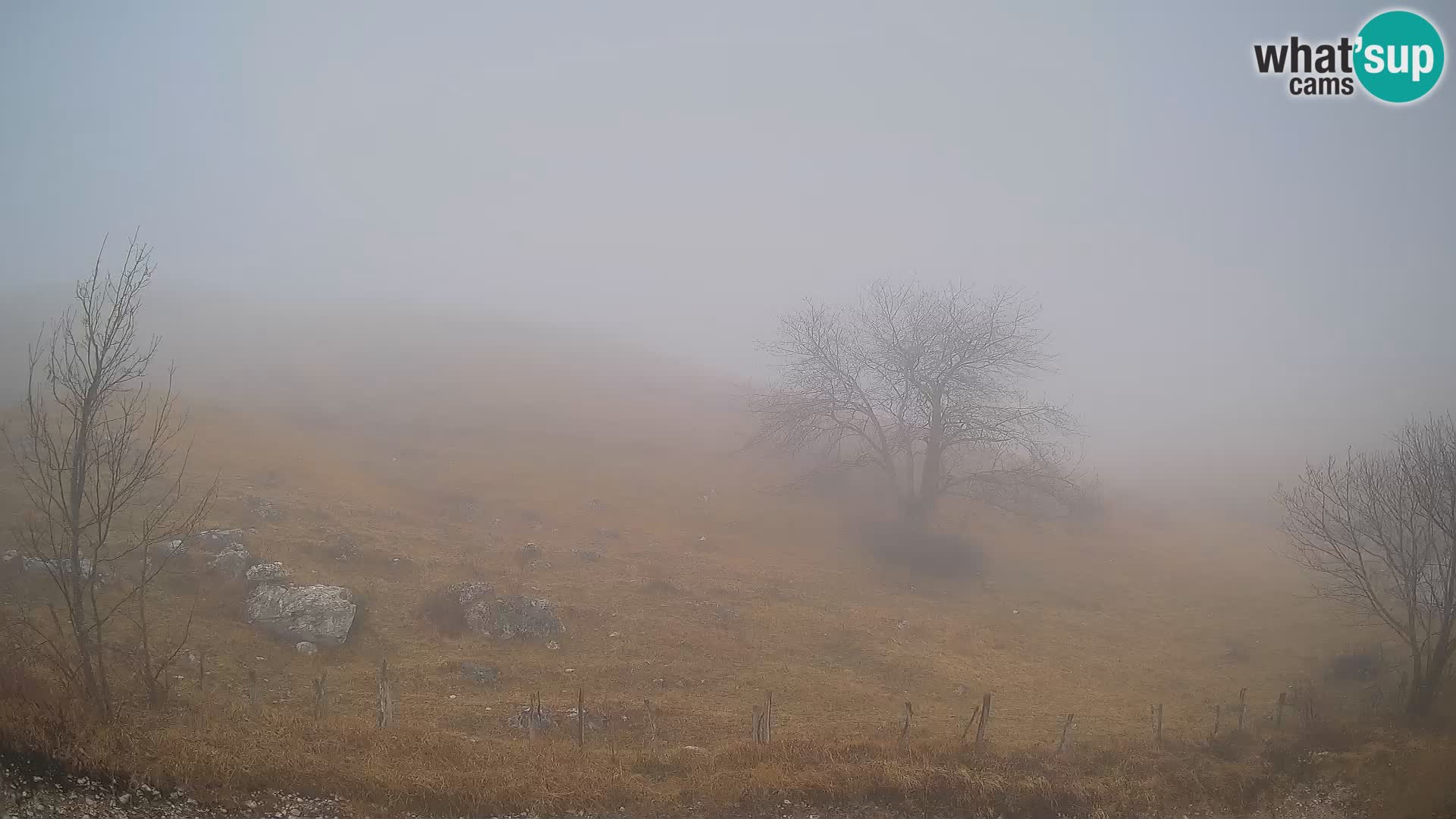 Livecam Planina Kuhinja – KRN- Kobarid – Slovénie