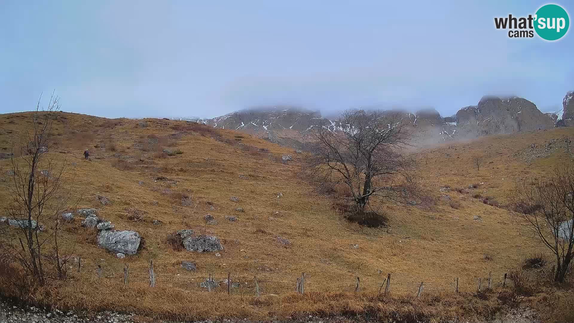 Cámara en Vivo de Planina Kuhinja – KRN – Kobarid – Eslovenia