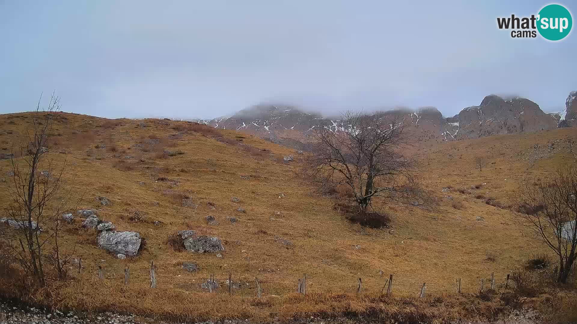 Webcam Planina Kuhinja – KRN – Kobarid – Slowenien
