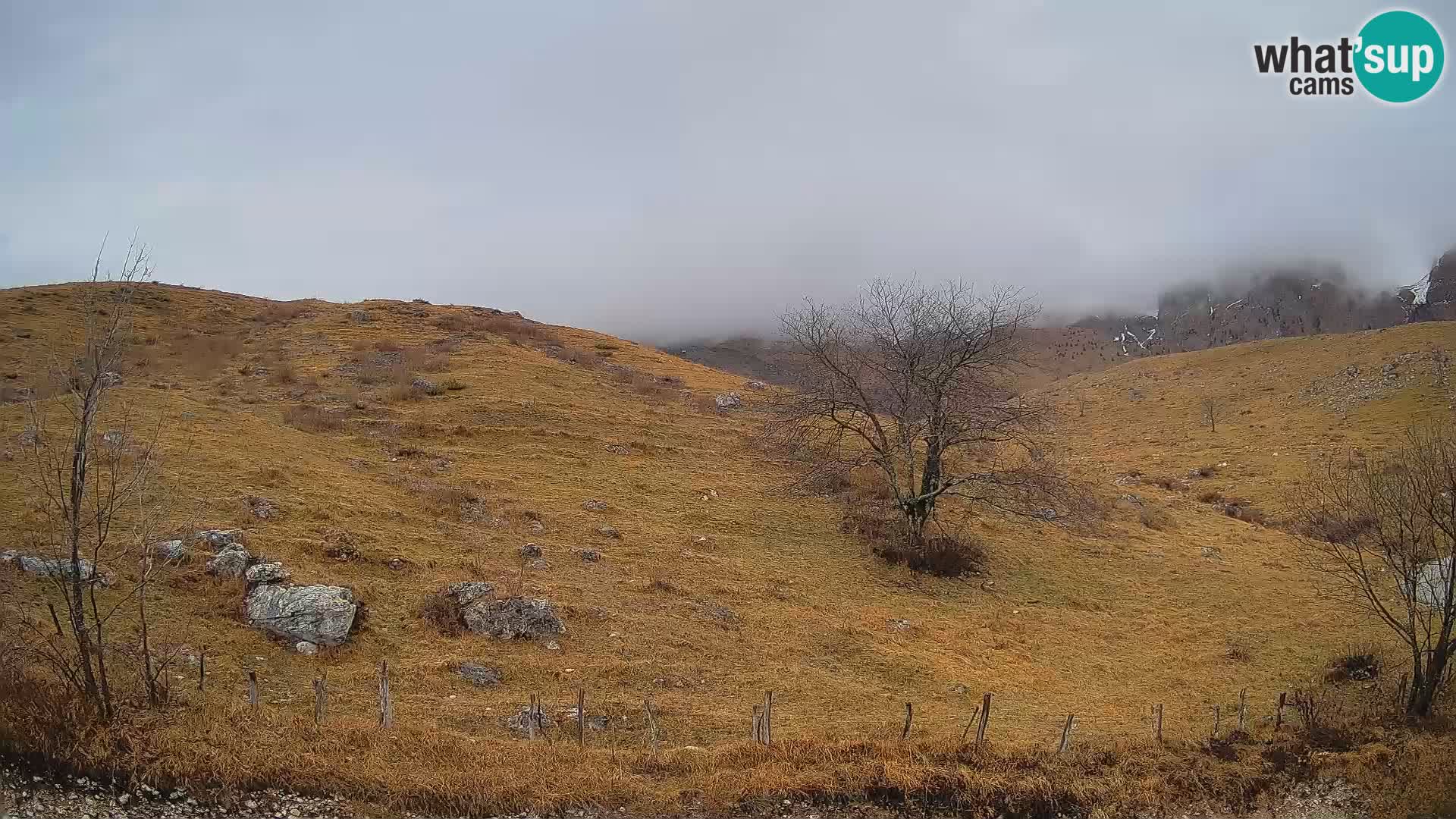 Webcam Krn – Planina Kuhinja ( Plateau Kuhinja ) – Kobarid – Slovenia