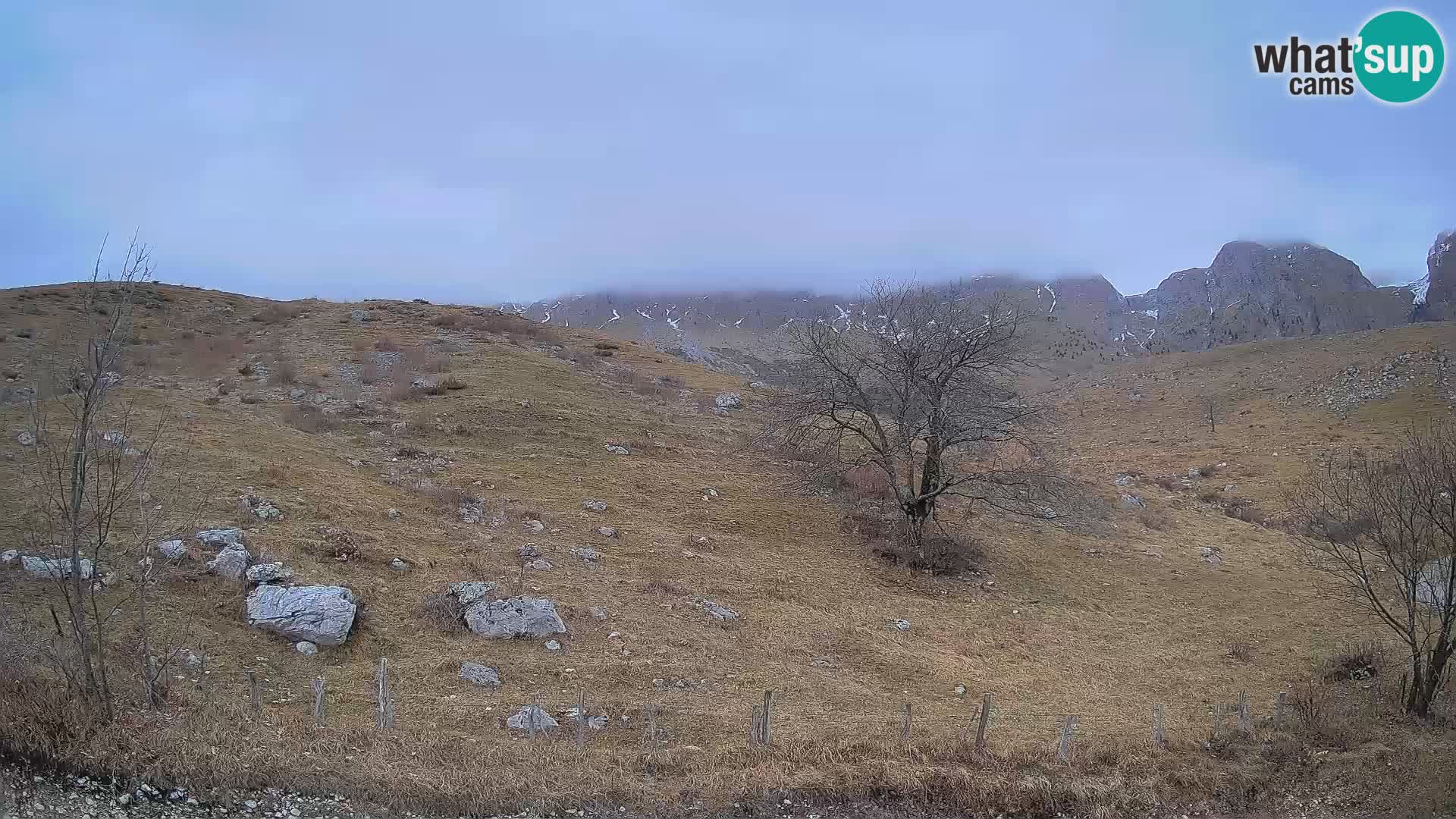 Webcam Krn – Planina Kuhinja ( Plateau Kuhinja ) – Kobarid – Slovenia