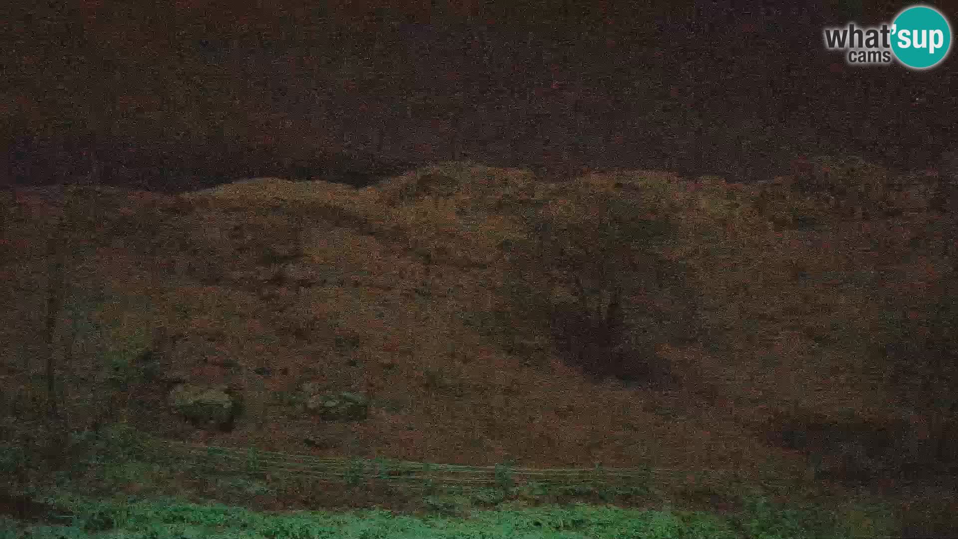 Webcam Krn – Planina Kuhinja ( Plateau Kuhinja ) – Kobarid – Slovenia