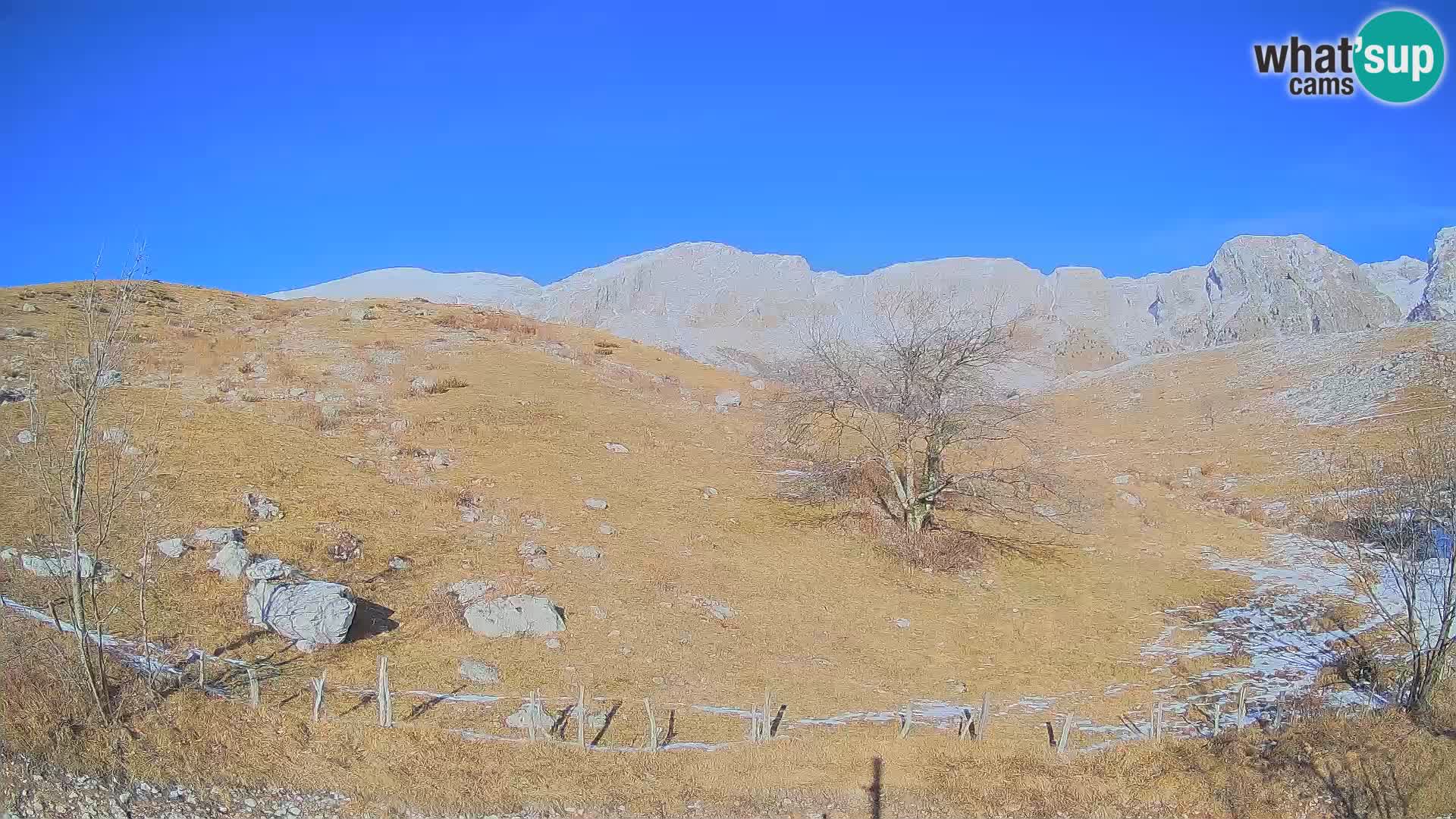 Webcam Planina Kuhinja – KRN – Kobarid – Slowenien