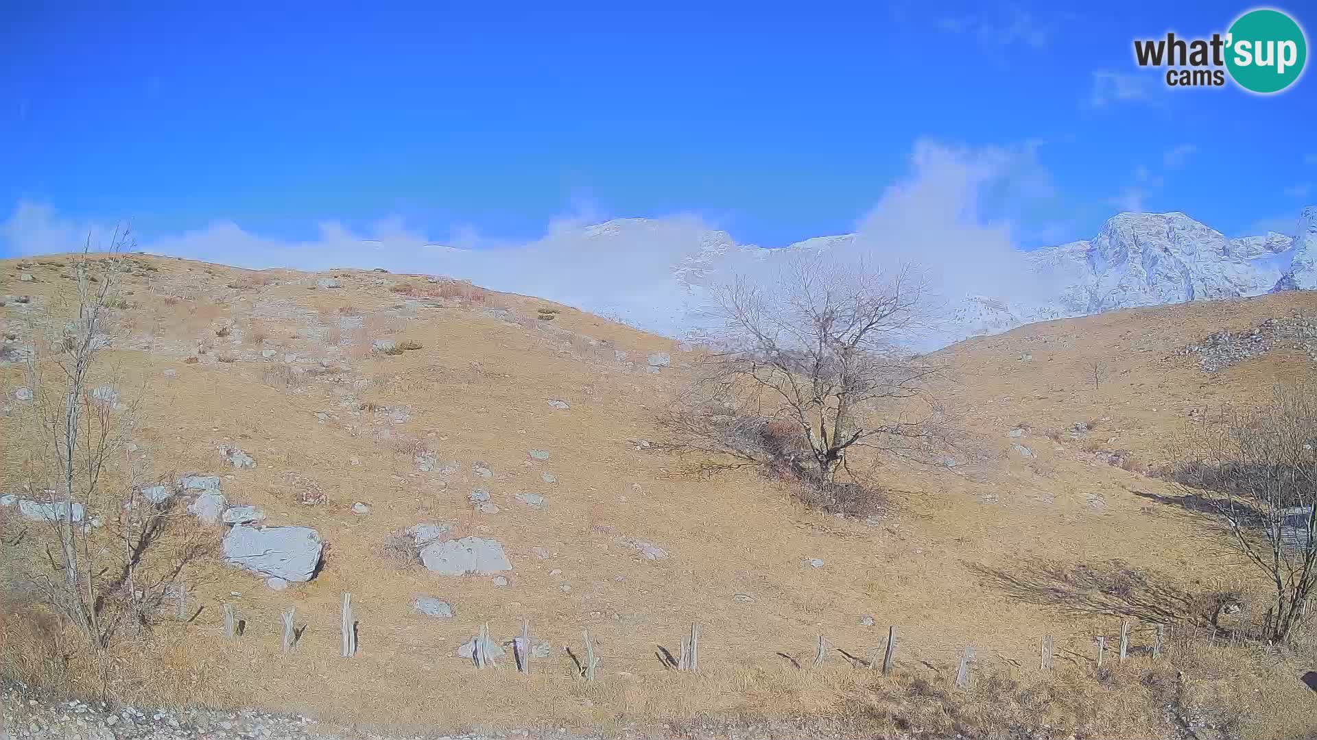 Spletna kamera Planina Kuhinja – KRN – Kobarid