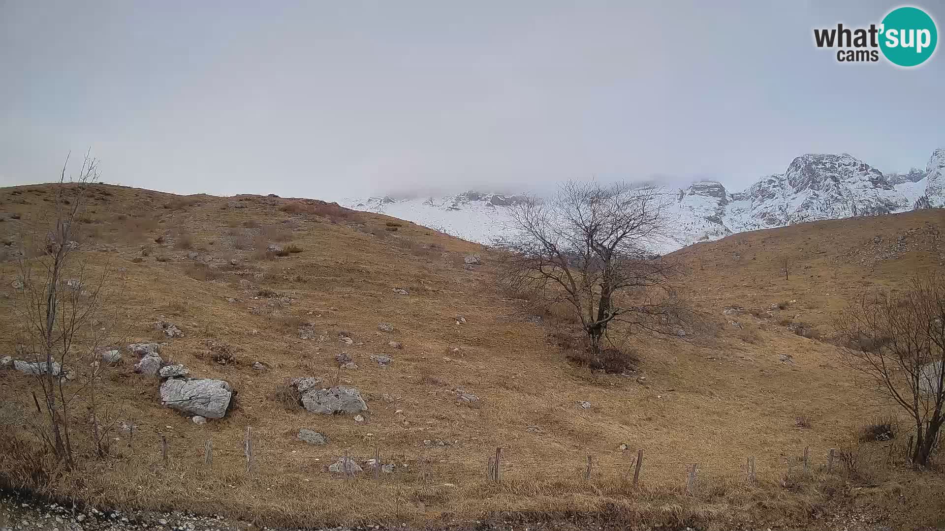 Livecam Planina Kuhinja – KRN- Kobarid – Slovénie