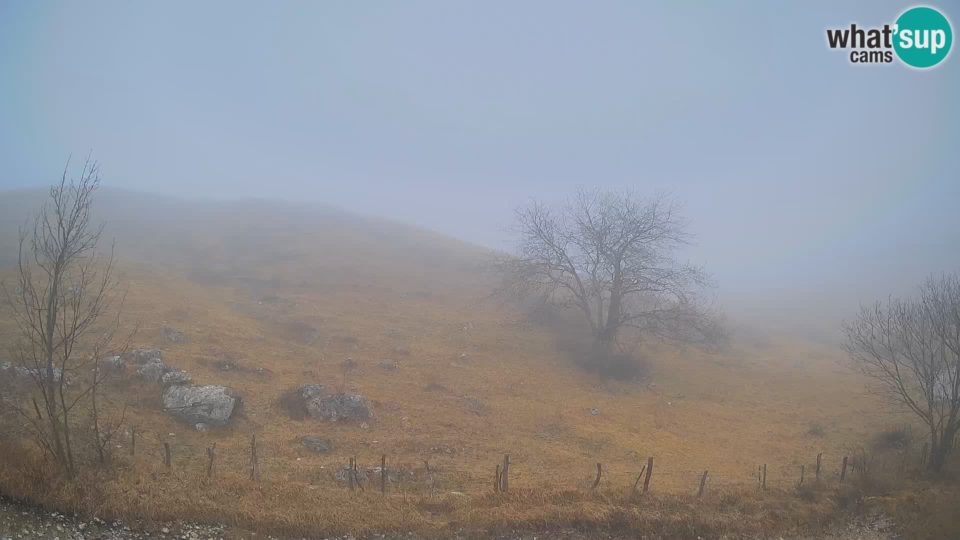 Cámara en Vivo de Planina Kuhinja – KRN – Kobarid – Eslovenia