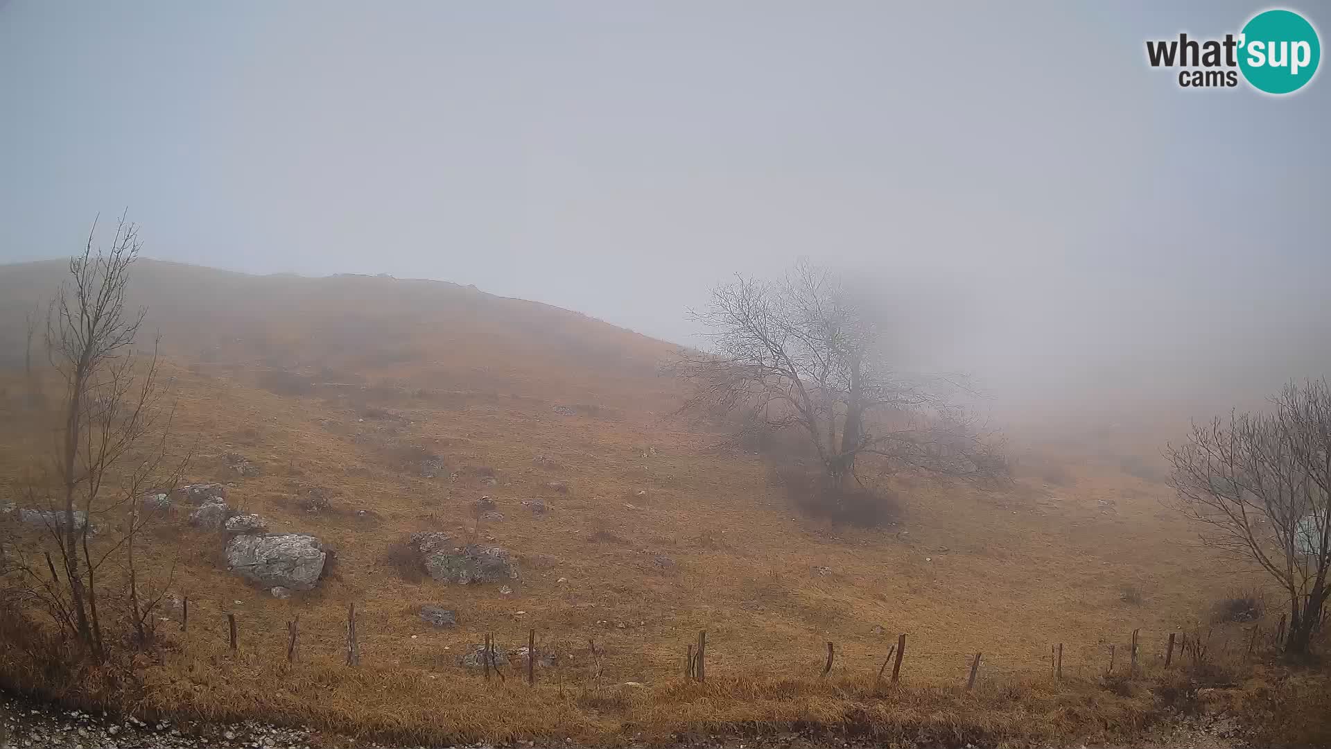 Web kamera Planina Kuhinja – KRN – Kobarid – Slovenija