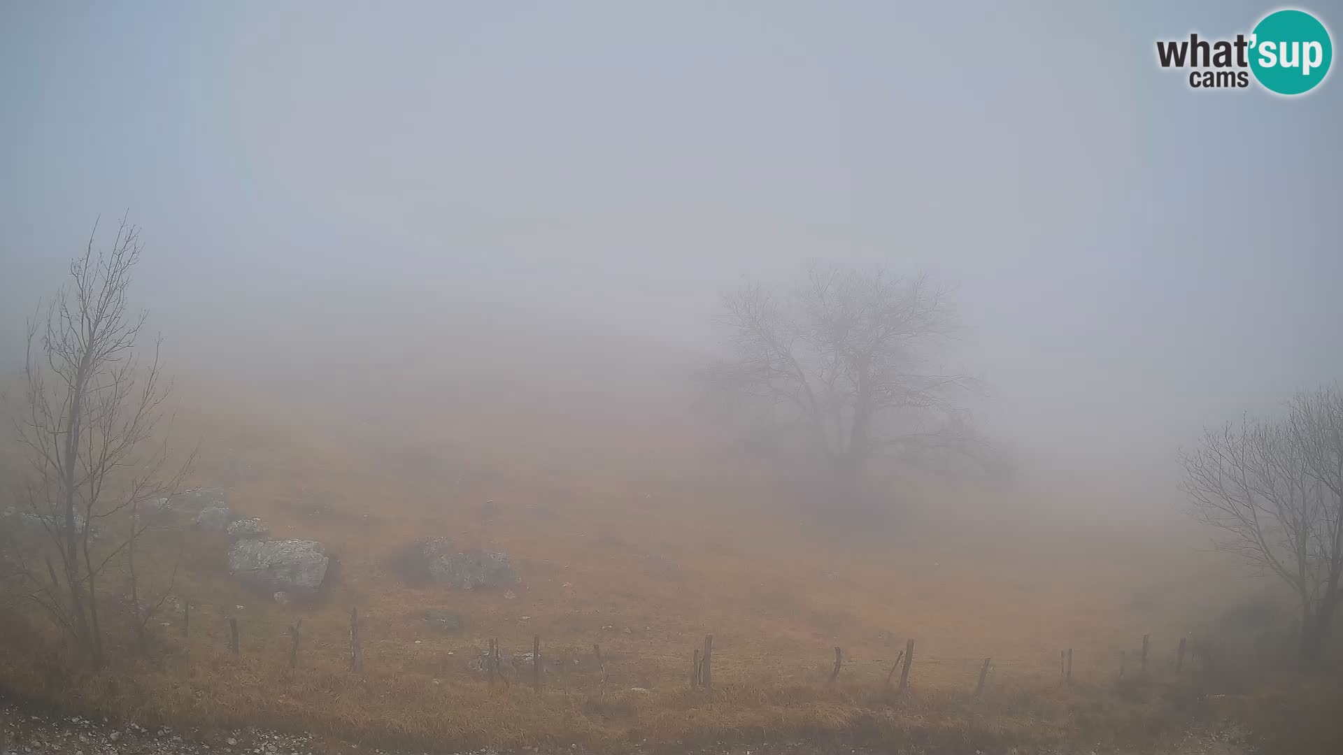 Livecam Planina Kuhinja – KRN- Kobarid – Slovénie