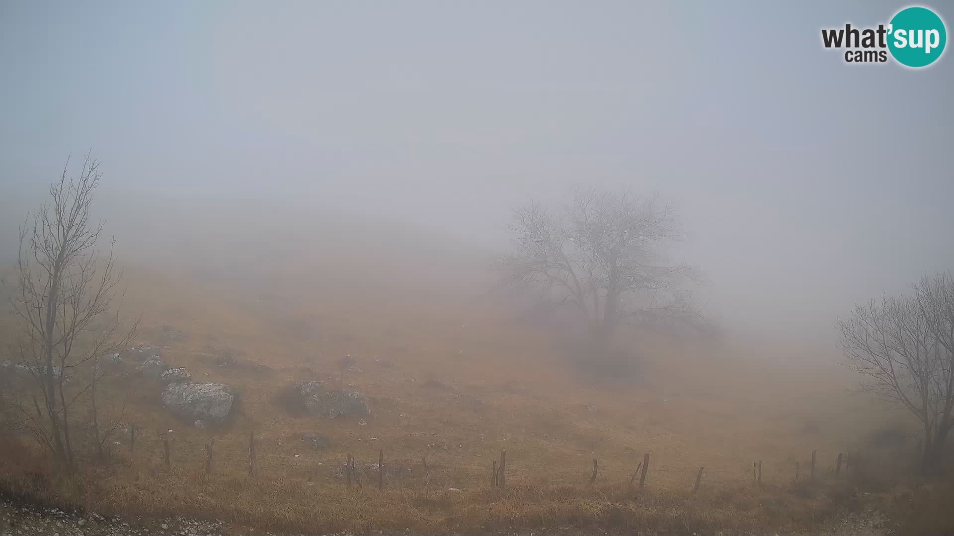 Web kamera Planina Kuhinja – KRN – Kobarid – Slovenija