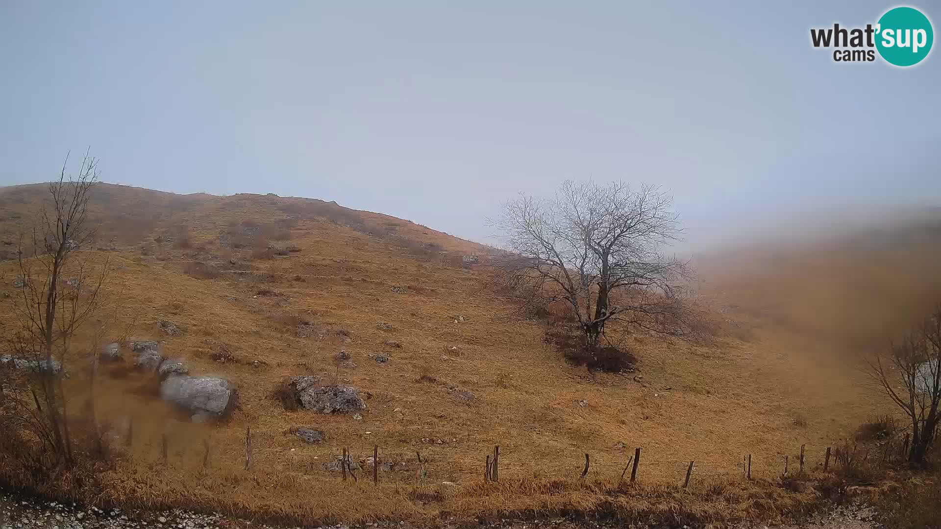 Web kamera Planina Kuhinja – KRN – Kobarid – Slovenija