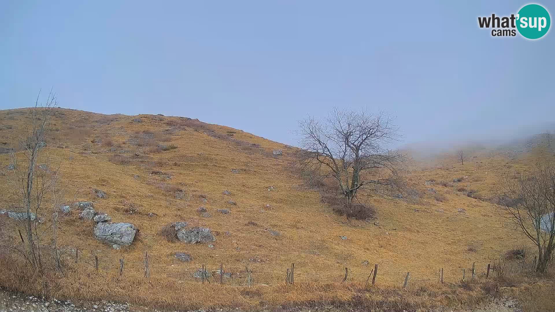 Live cam Planina Kuhinja – Monte Nero ( Krn ) – Caporetto – Slovenia