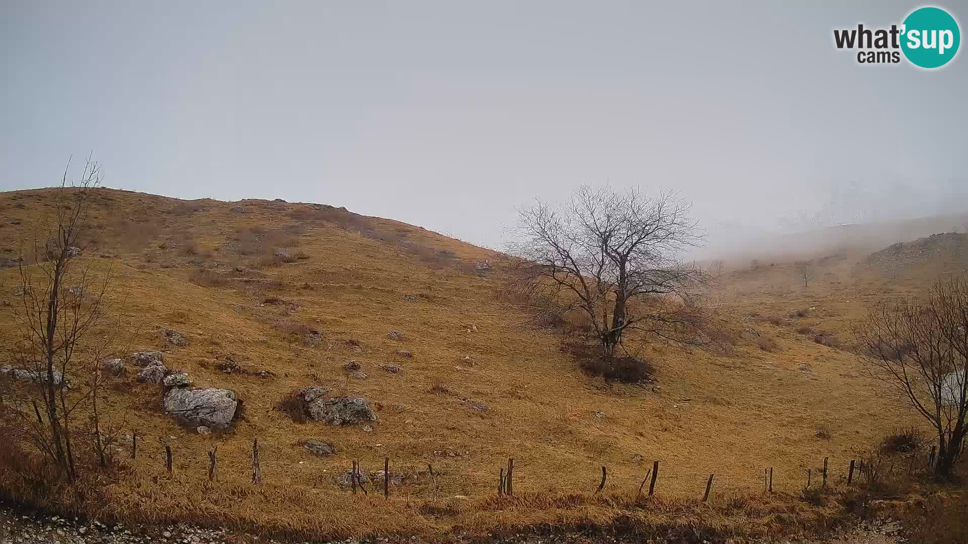 Webcam Krn – Planina Kuhinja ( Plateau Kuhinja ) – Kobarid – Slovenia