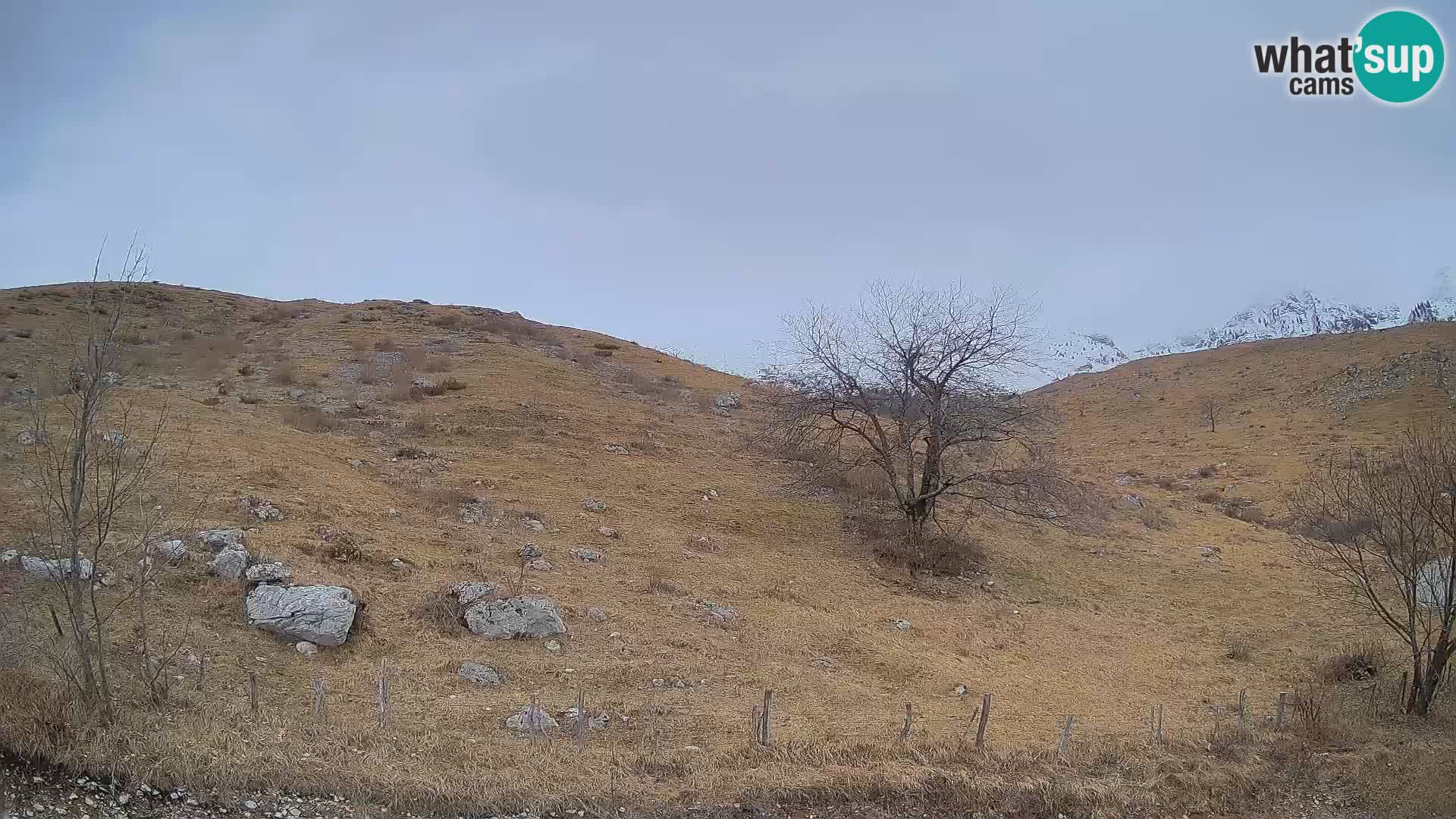 Web kamera Planina Kuhinja – KRN – Kobarid – Slovenija