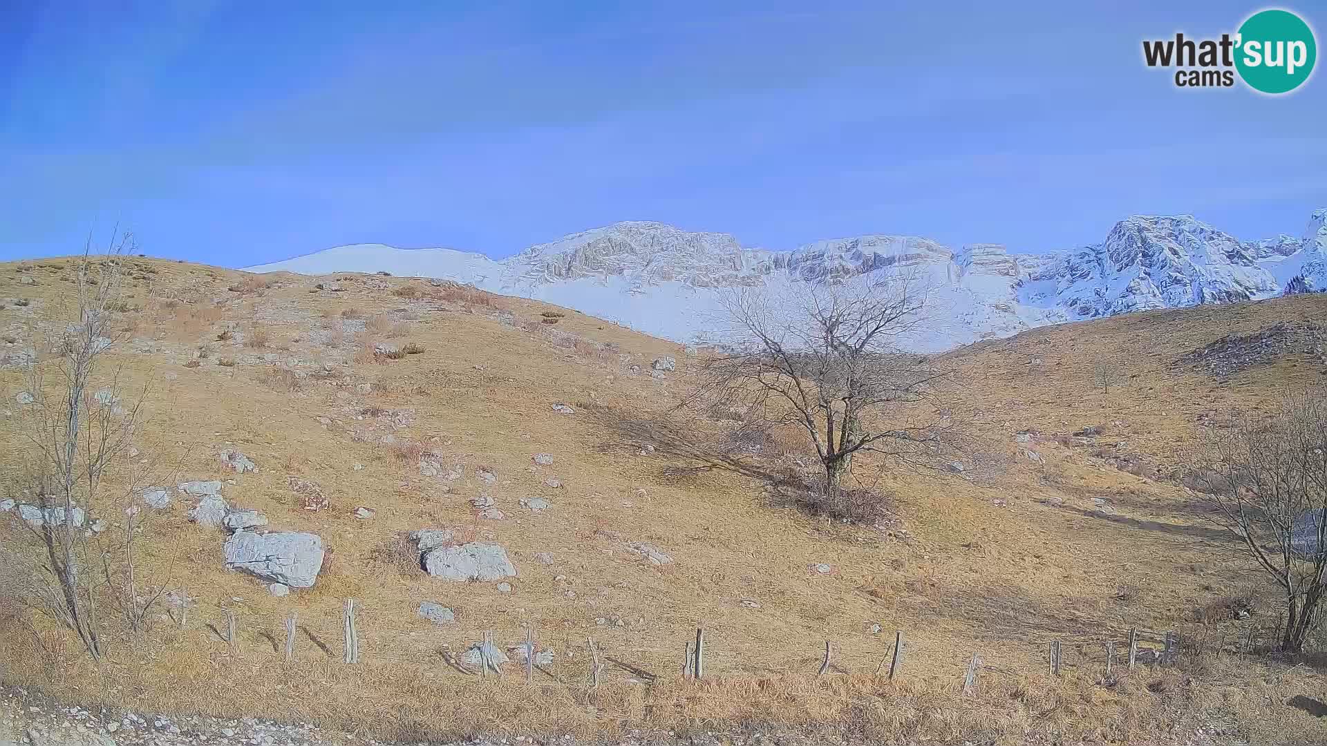 Cámara en Vivo de Planina Kuhinja – KRN – Kobarid – Eslovenia