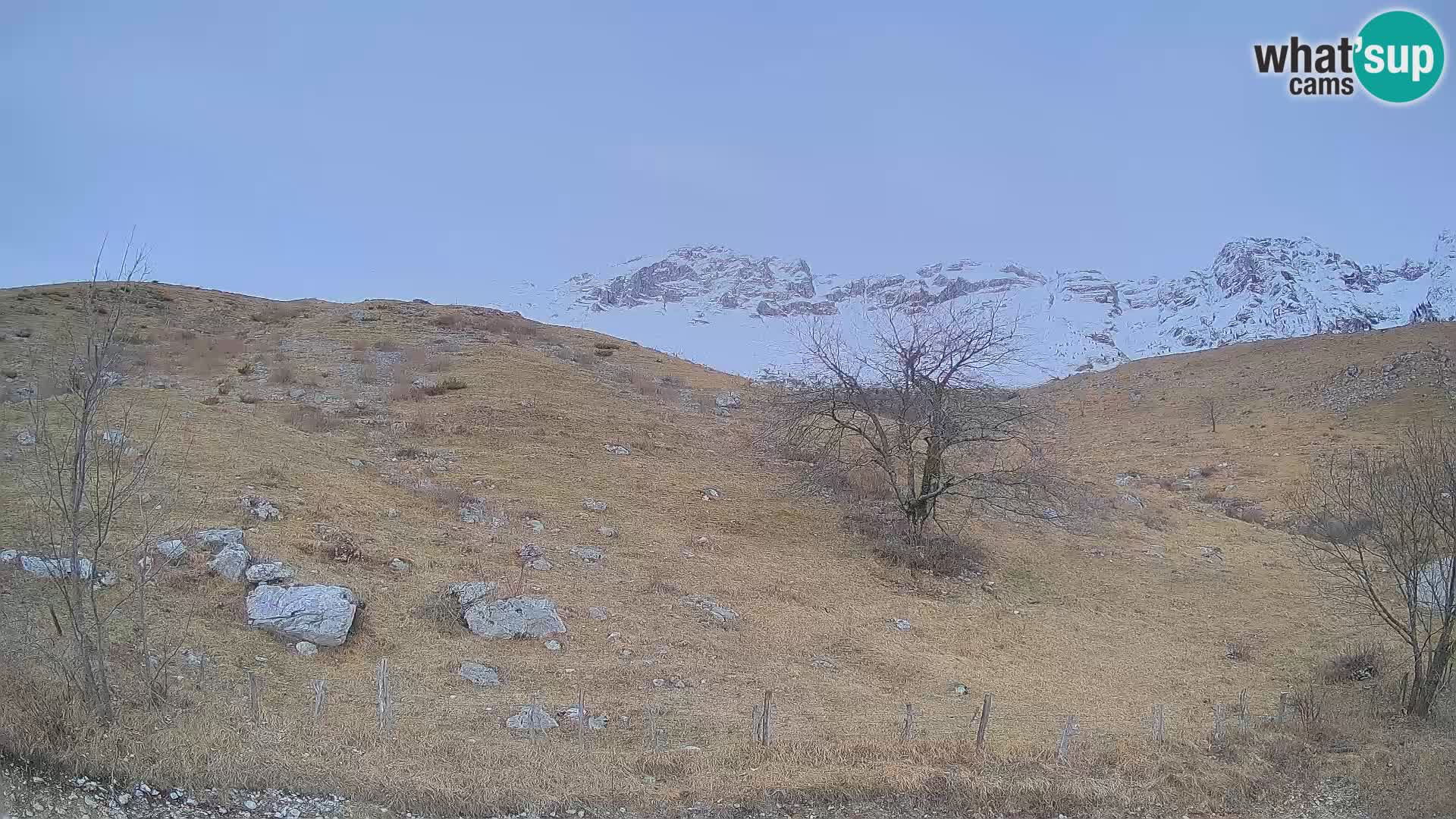 Spletna kamera Planina Kuhinja – KRN – Kobarid