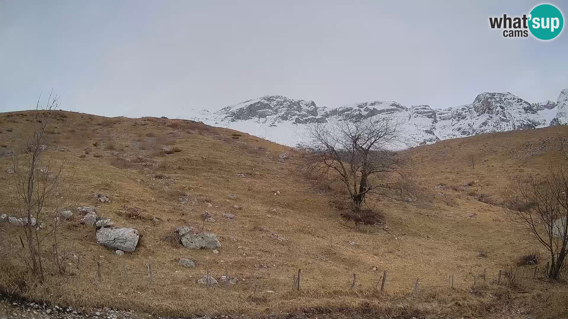 Cámara en Vivo de Planina Kuhinja – KRN – Kobarid – Eslovenia