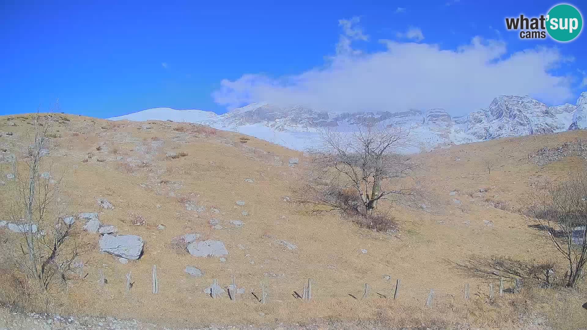 Web kamera Planina Kuhinja – KRN – Kobarid – Slovenija
