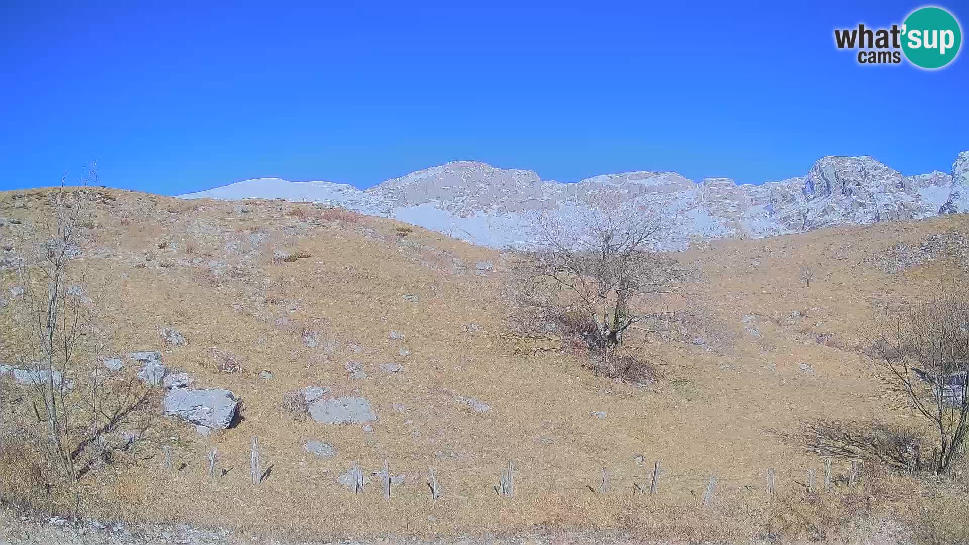 Cámara en Vivo de Planina Kuhinja – KRN – Kobarid – Eslovenia