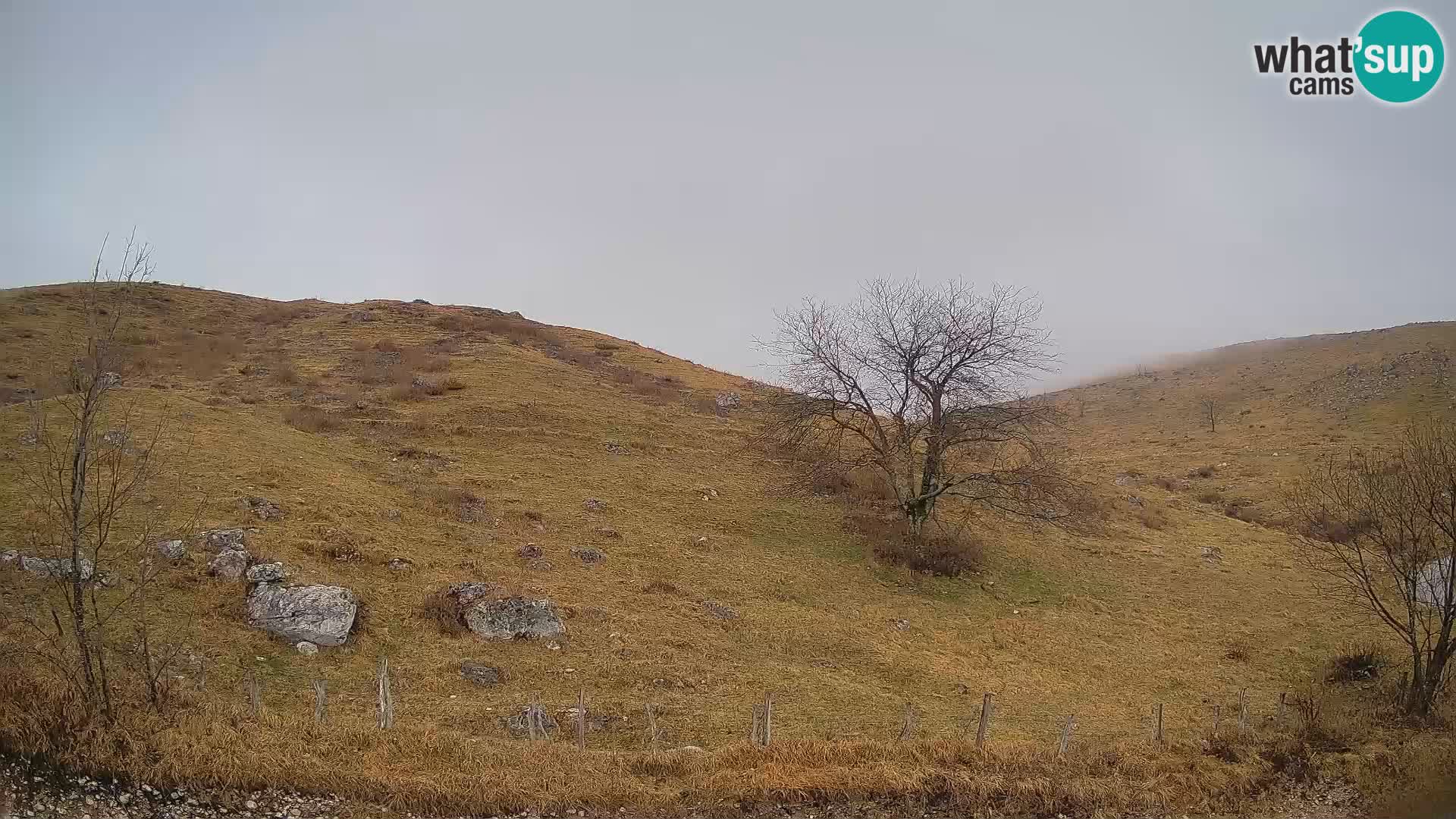 Livecam Planina Kuhinja – KRN- Kobarid – Slovénie