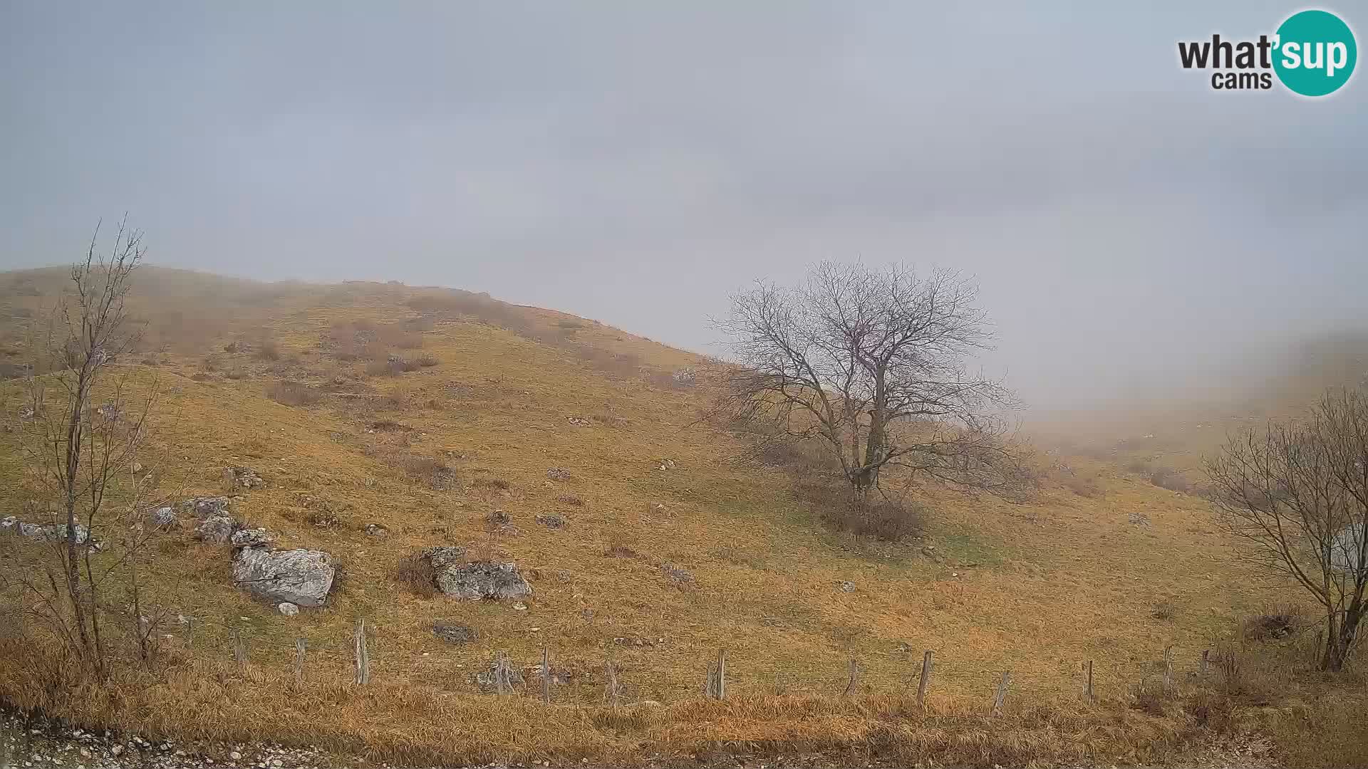 Livecam Planina Kuhinja – KRN- Kobarid – Slovénie