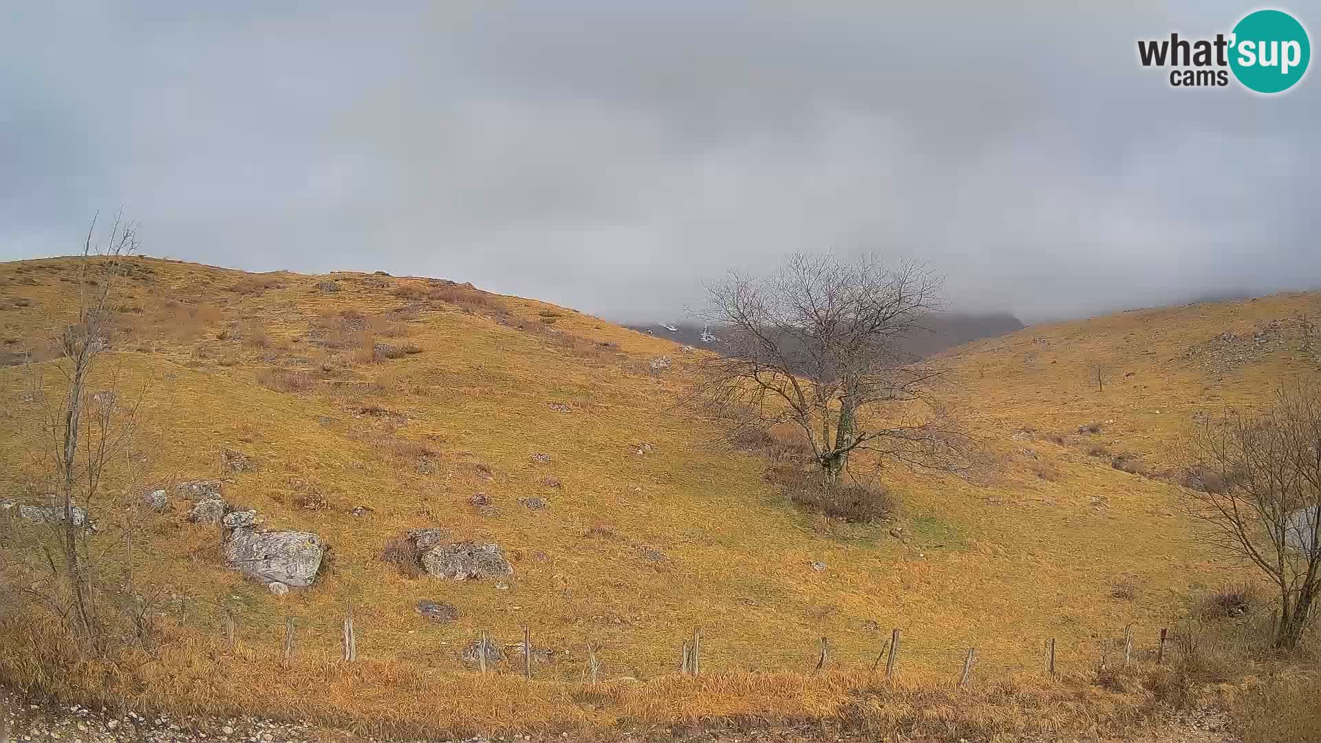 Cámara en Vivo de Planina Kuhinja – KRN – Kobarid – Eslovenia