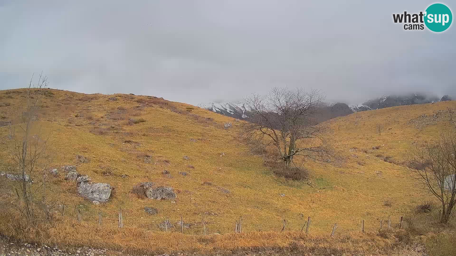 Web kamera Planina Kuhinja – KRN – Kobarid – Slovenija