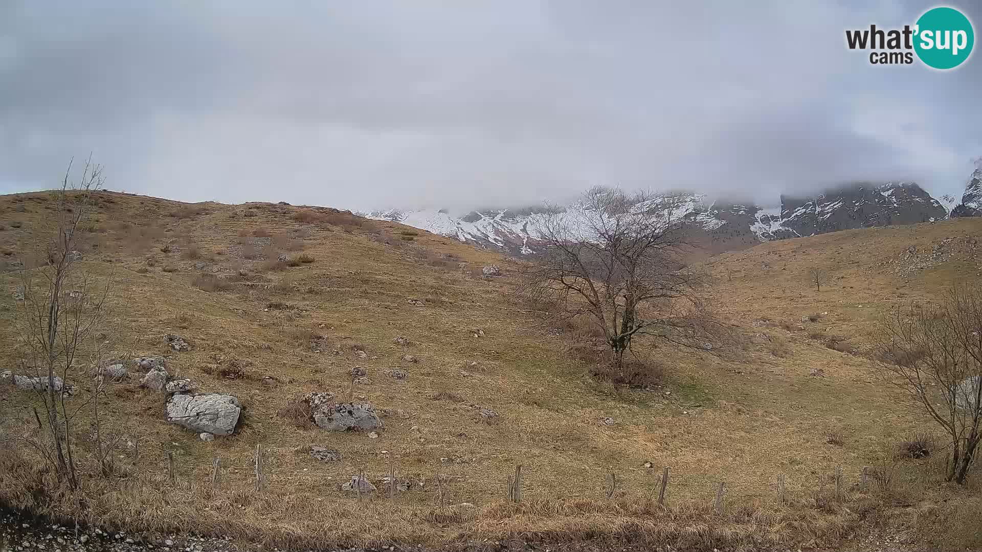Spletna kamera Planina Kuhinja – KRN – Kobarid