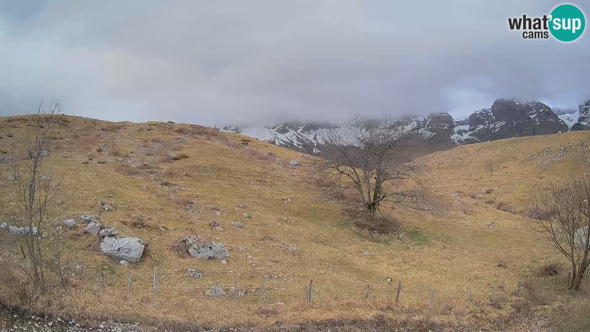 Live cam Planina Kuhinja – Monte Nero ( Krn ) – Caporetto – Slovenia