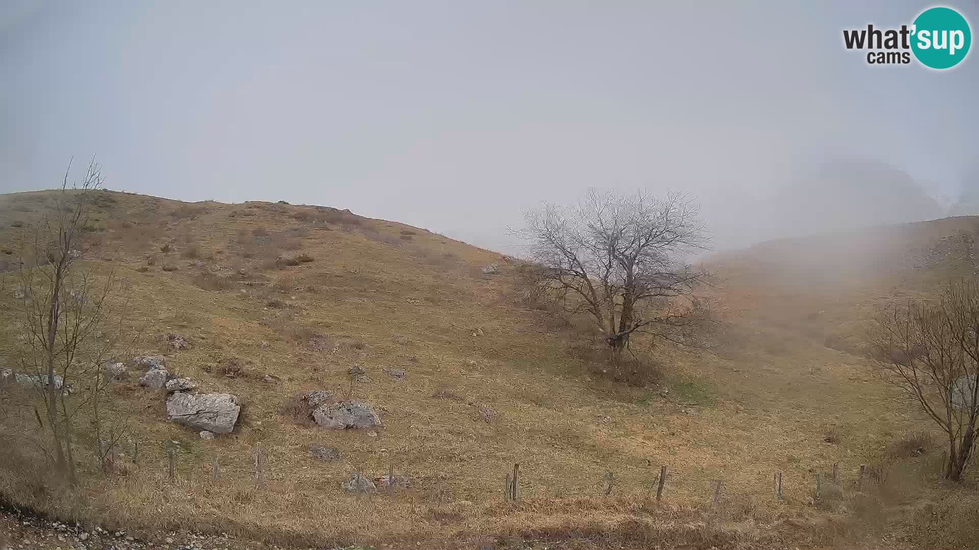 Livecam Planina Kuhinja – KRN- Kobarid – Slovénie