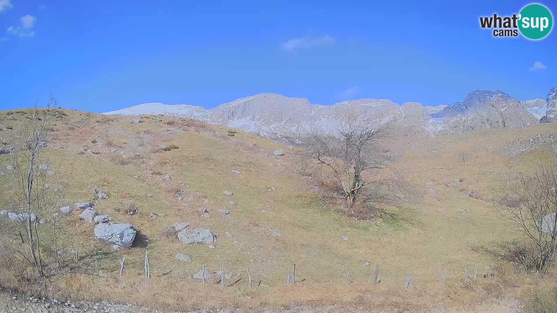 Cámara en Vivo de Planina Kuhinja – KRN – Kobarid – Eslovenia