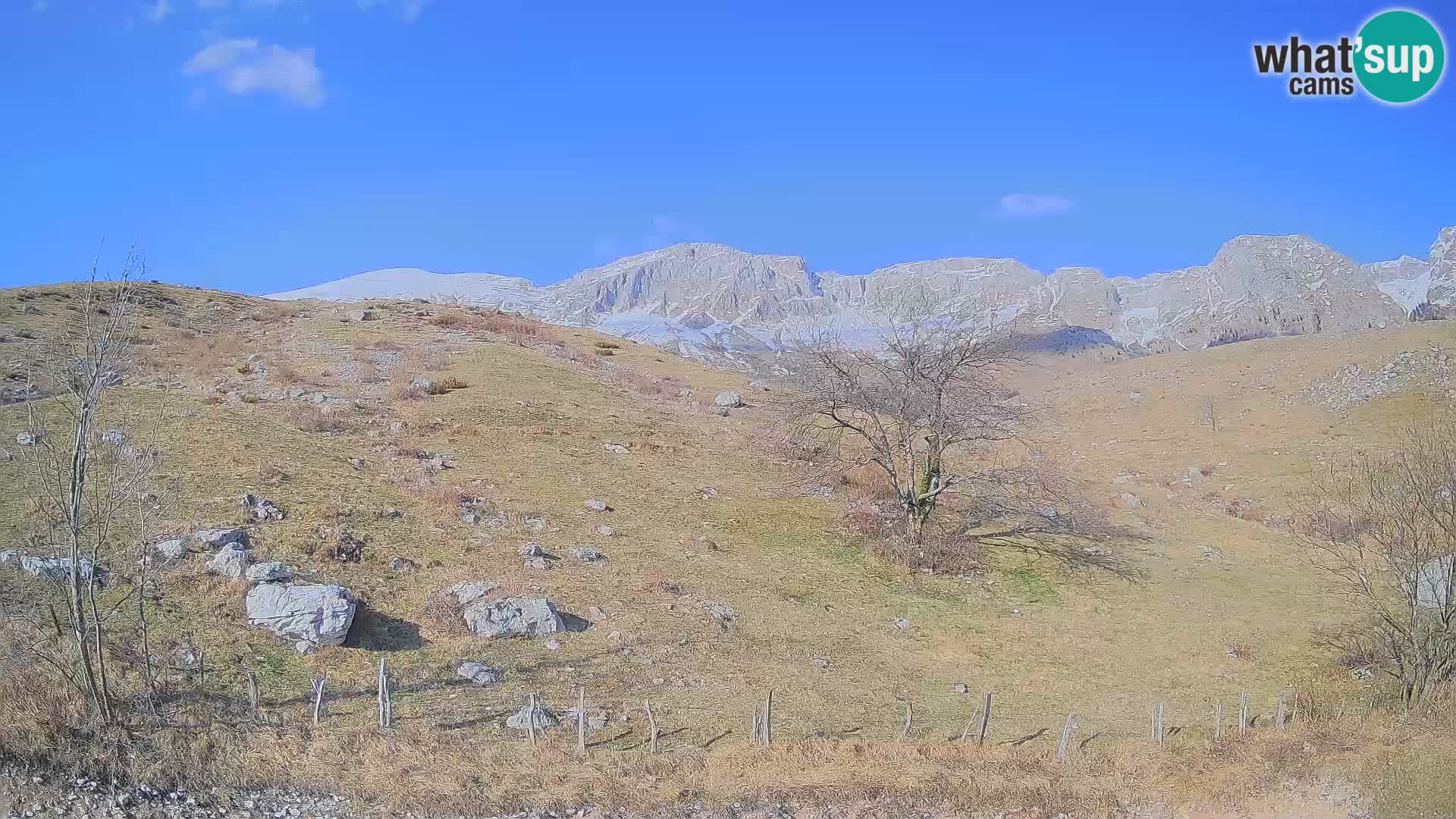 Webcam Planina Kuhinja – KRN – Kobarid – Slowenien