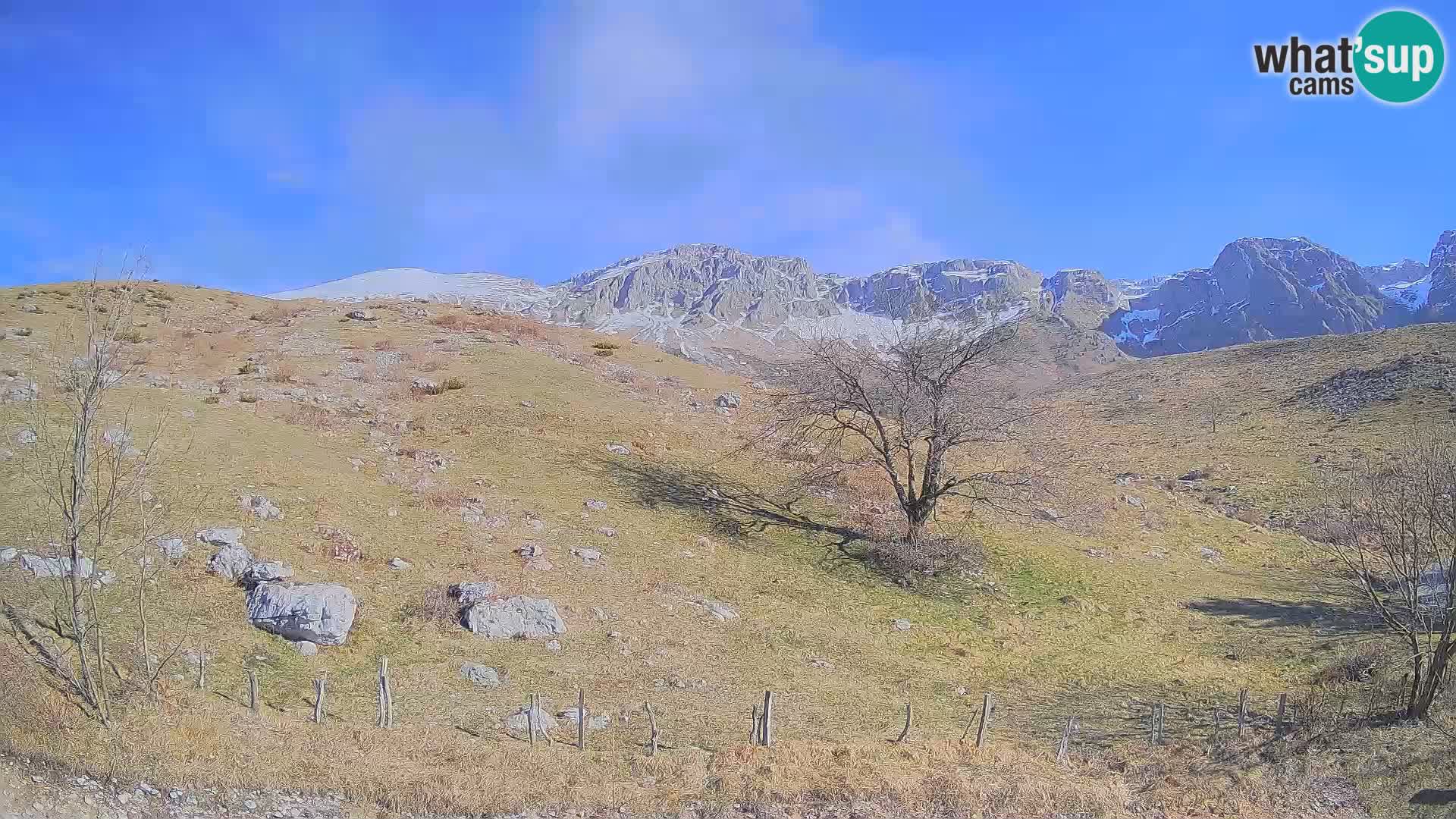Spletna kamera Planina Kuhinja – KRN – Kobarid