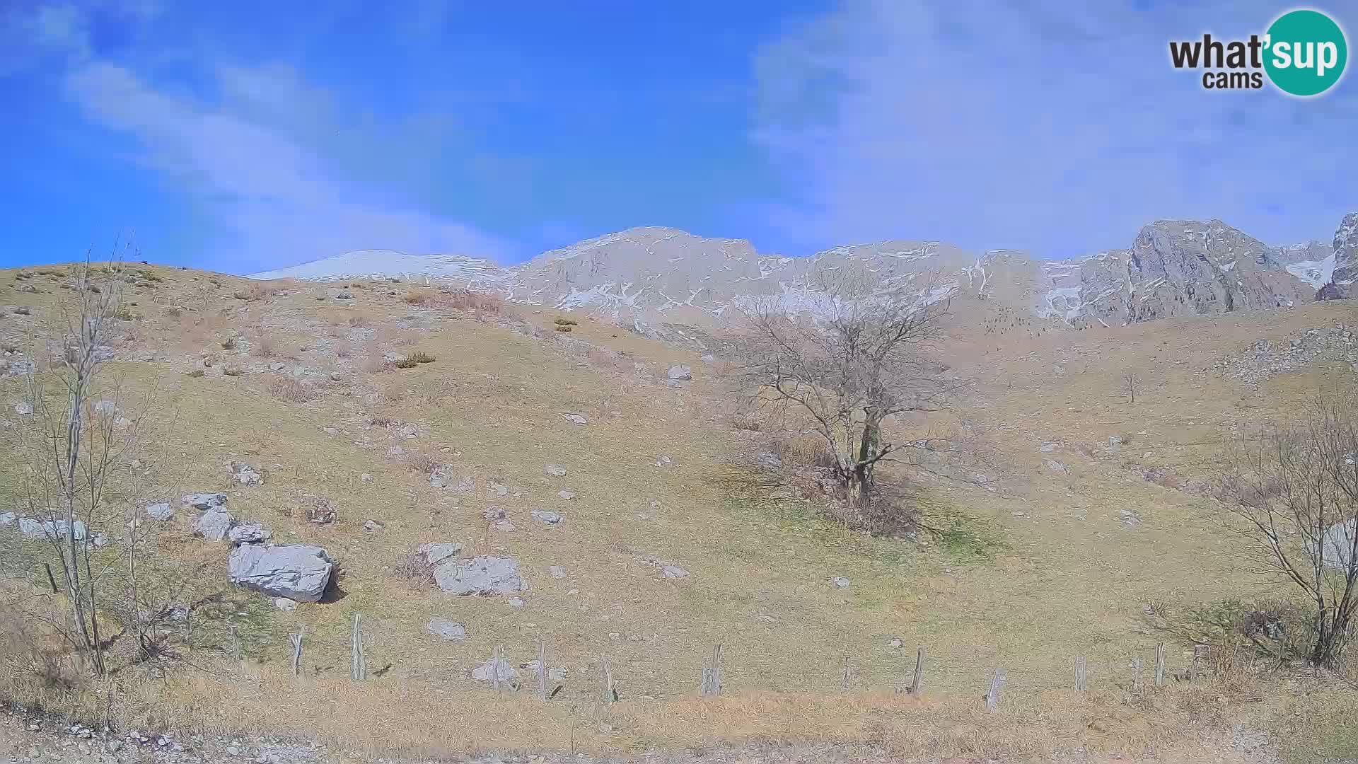 Livecam Planina Kuhinja – KRN- Kobarid – Slovénie