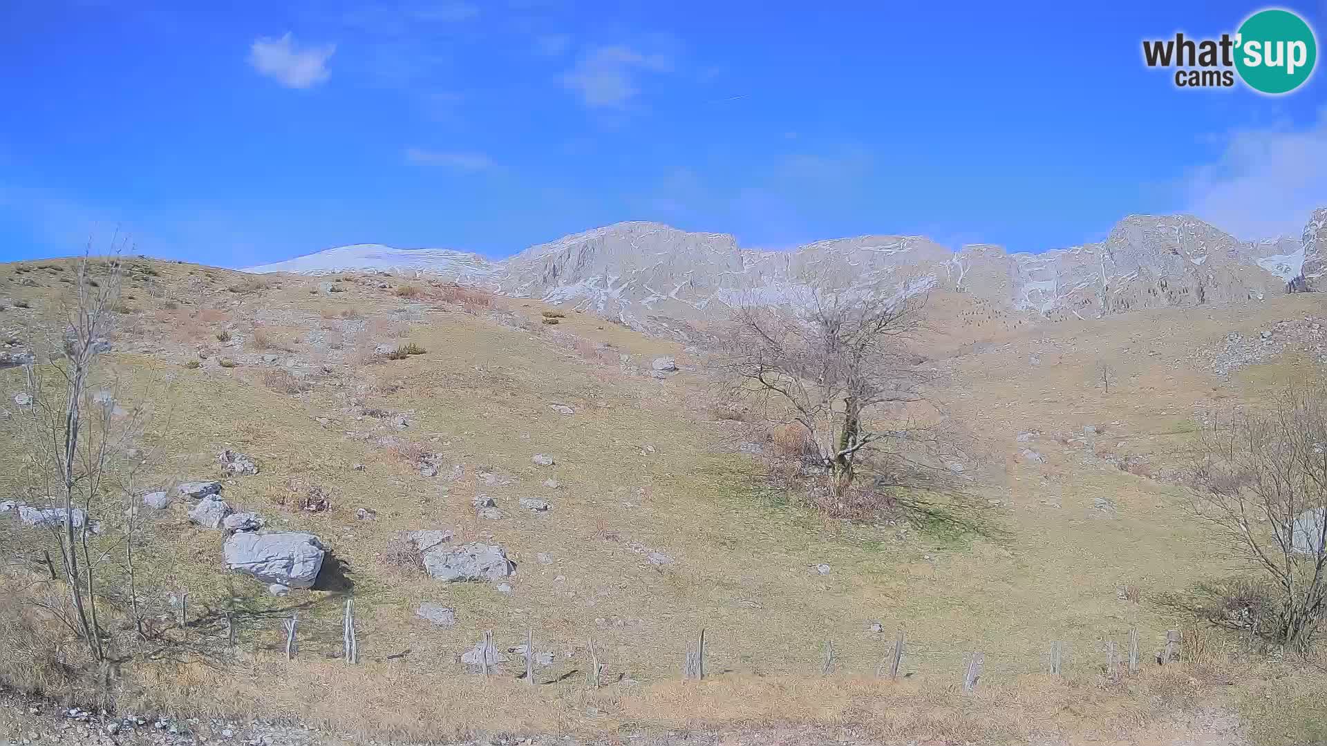 Spletna kamera Planina Kuhinja – KRN – Kobarid