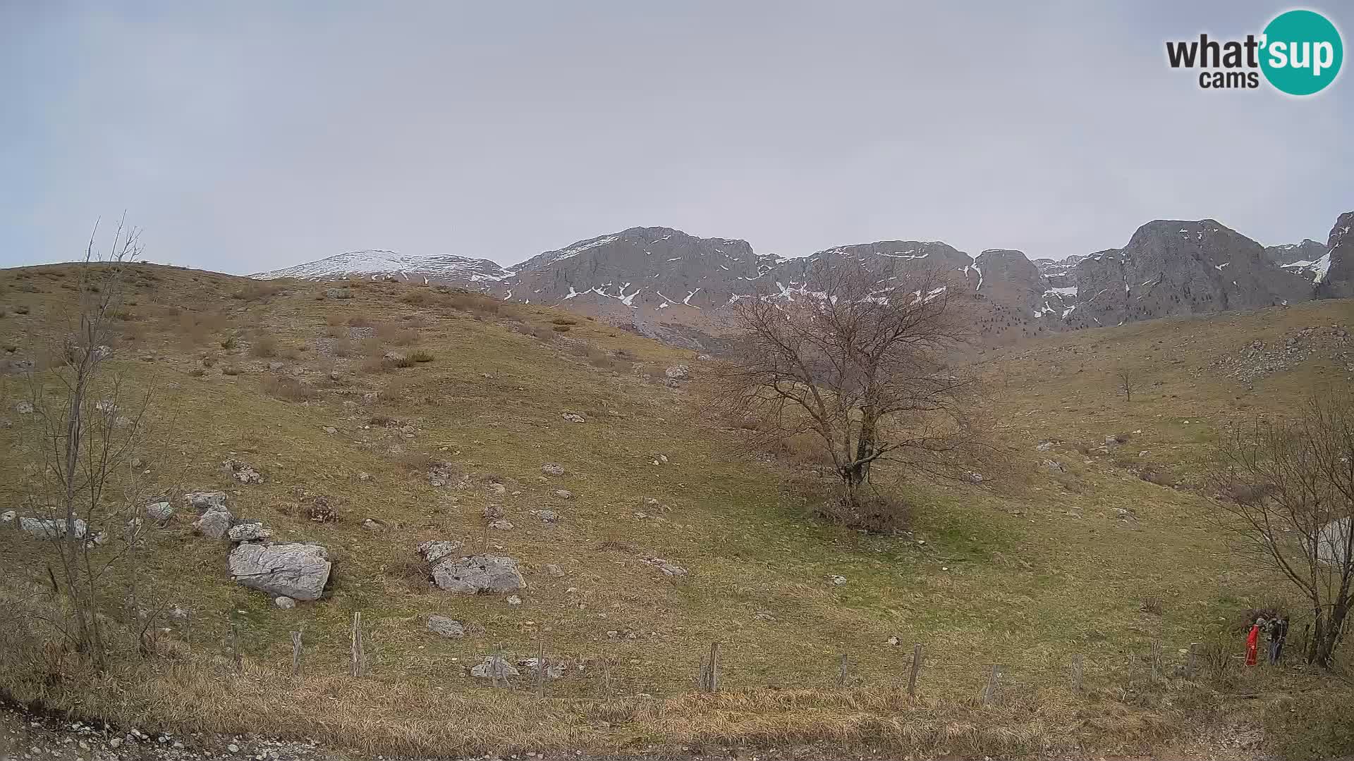 Spletna kamera Planina Kuhinja – KRN – Kobarid