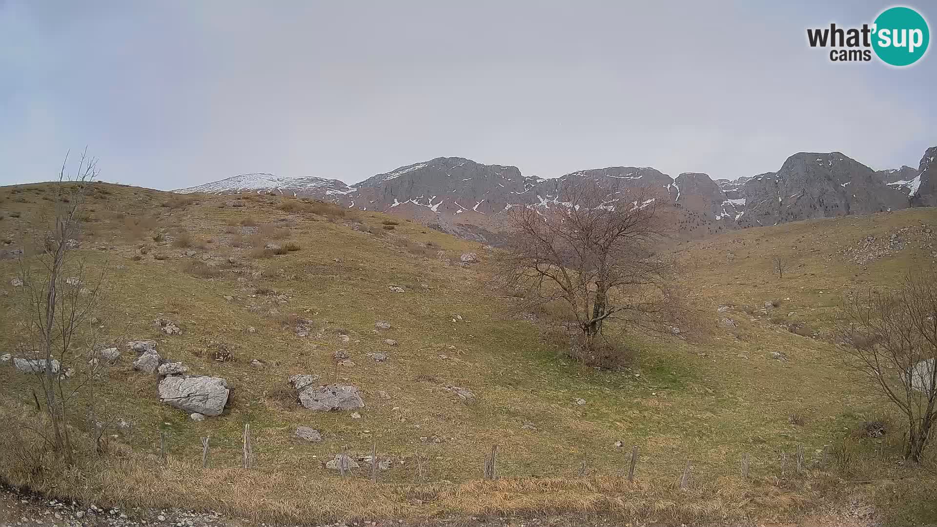 Spletna kamera Planina Kuhinja – KRN – Kobarid