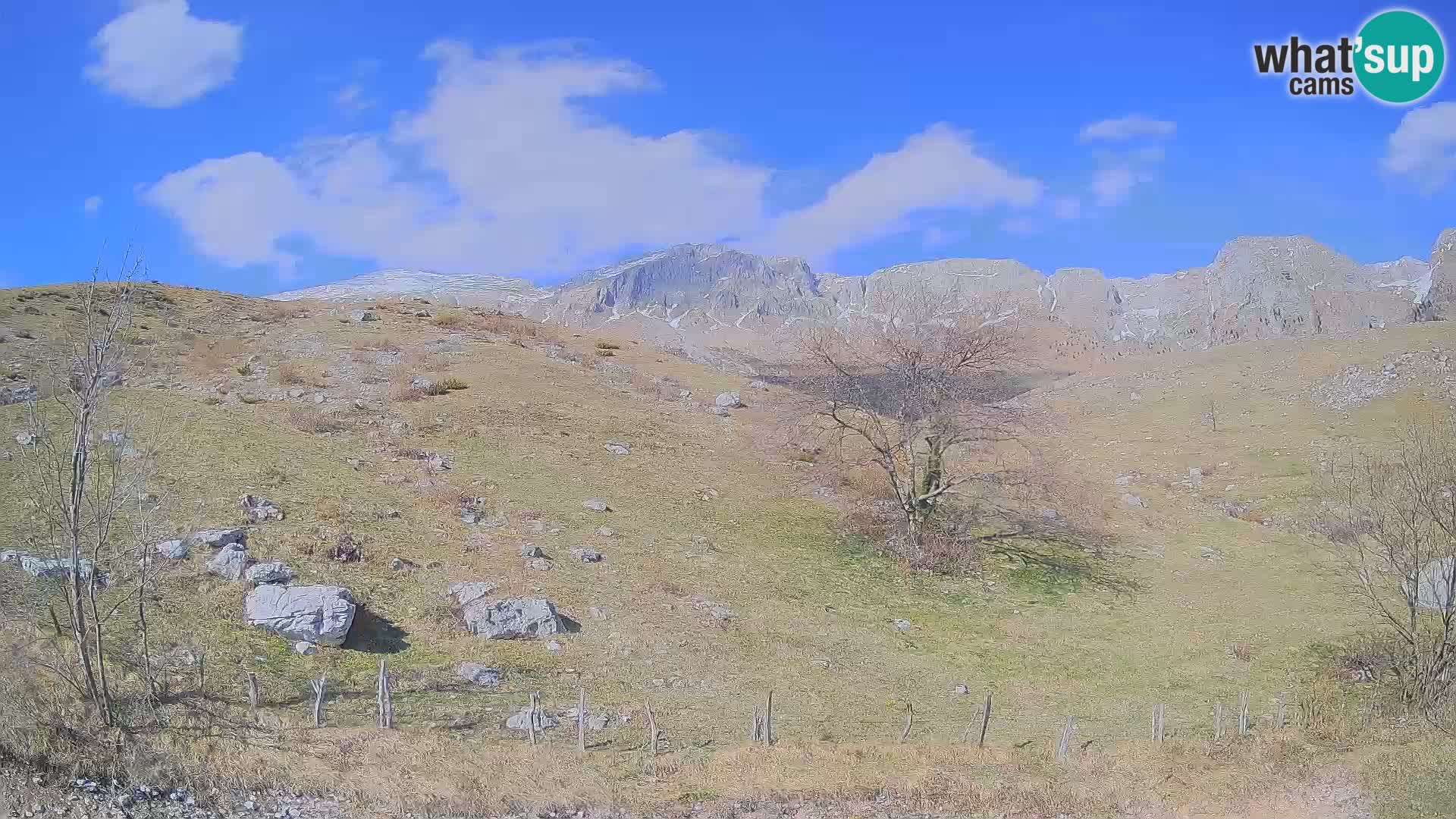 Cámara en Vivo de Planina Kuhinja – KRN – Kobarid – Eslovenia