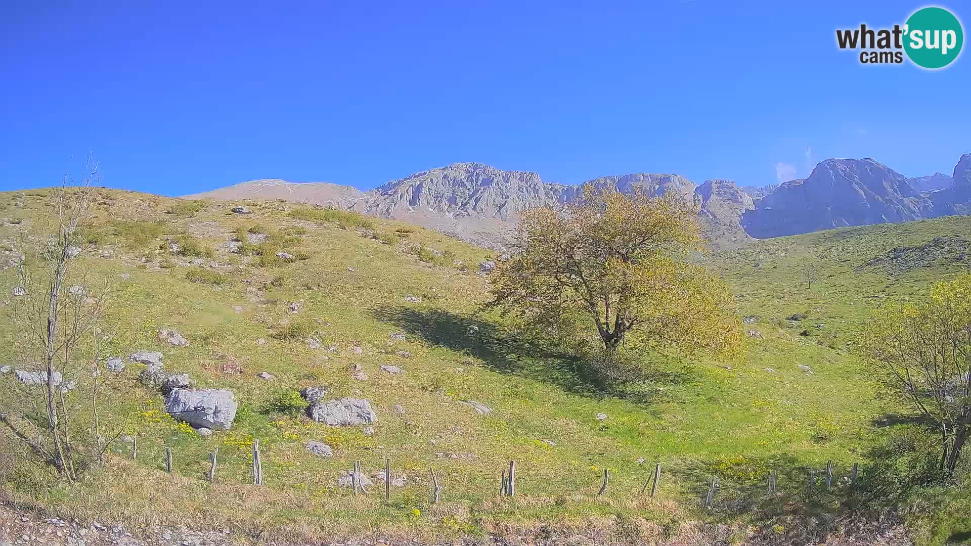 Webcam Planina Kuhinja – KRN – Kobarid – Slowenien