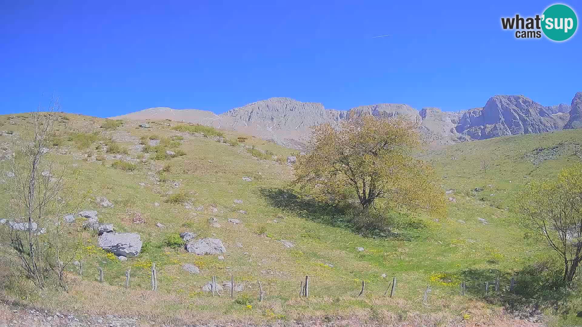 Webcam Planina Kuhinja – KRN – Kobarid – Slowenien