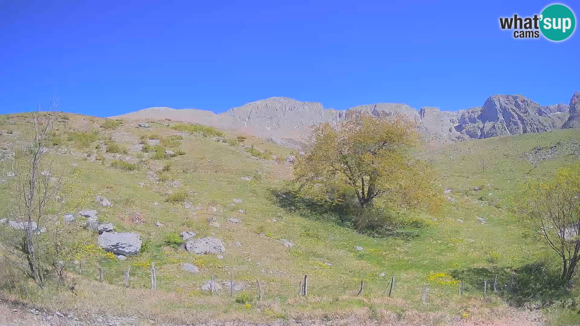 Spletna kamera Planina Kuhinja – KRN – Kobarid