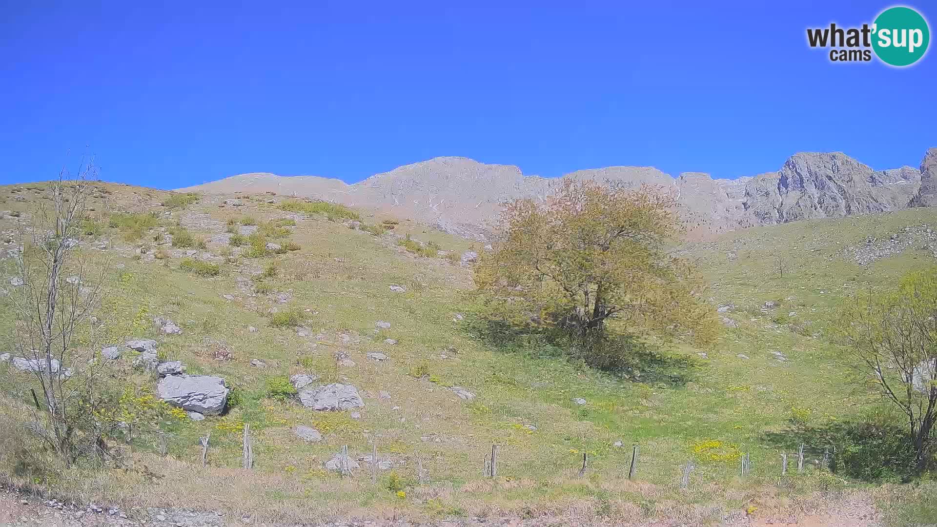 Cámara en Vivo de Planina Kuhinja – KRN – Kobarid – Eslovenia