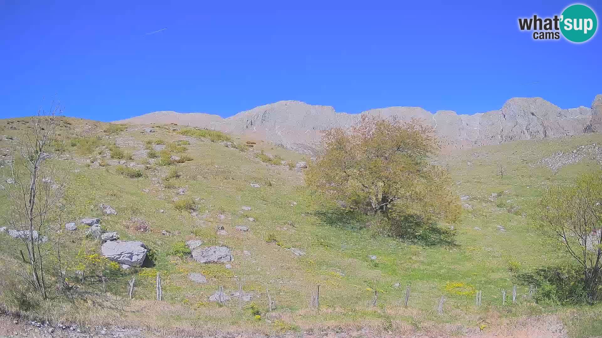 Webcam Planina Kuhinja – KRN – Kobarid – Slowenien