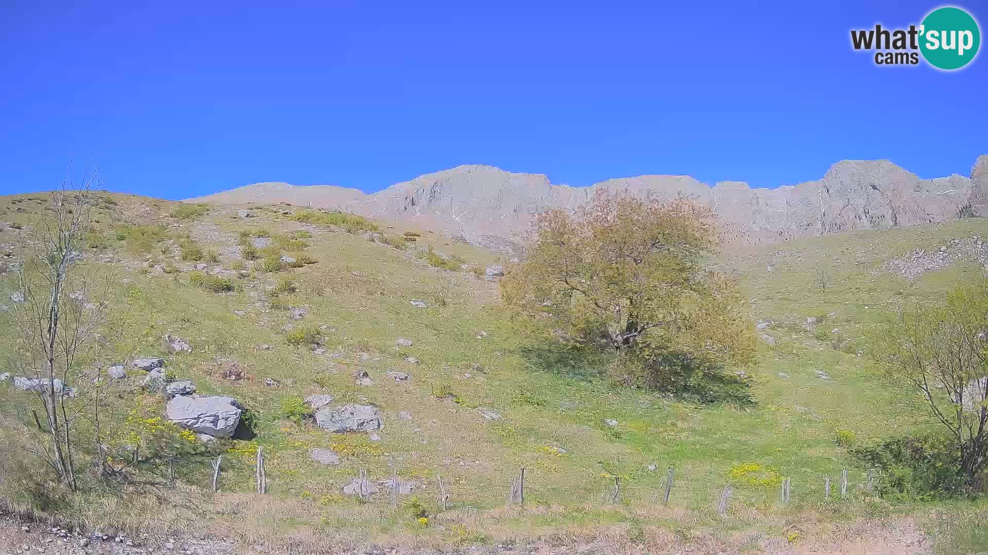 Live cam Planina Kuhinja – Monte Nero ( Krn ) – Caporetto – Slovenia