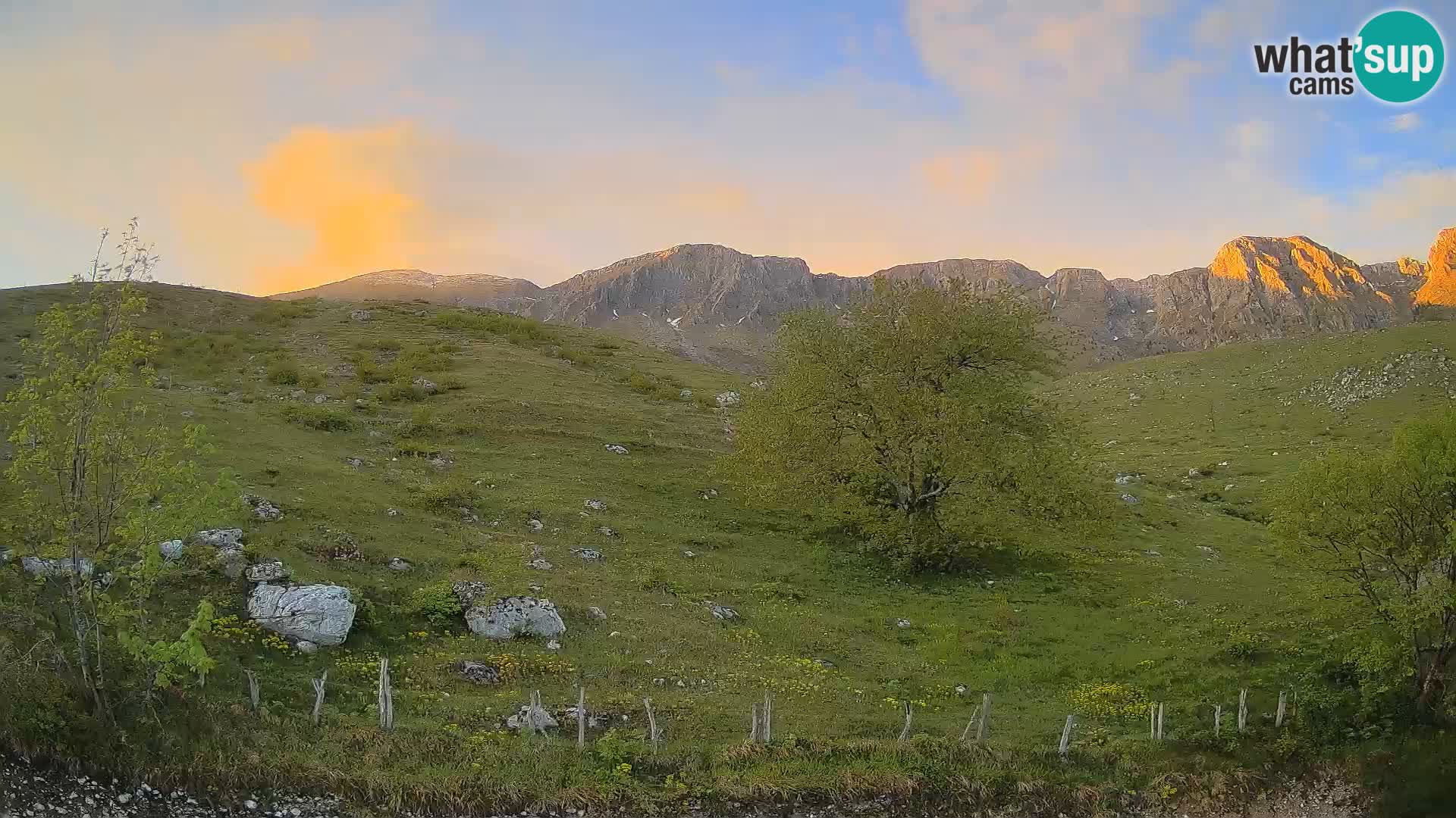 Webcam Krn – Planina Kuhinja ( Plateau Kuhinja ) – Kobarid – Slovenia