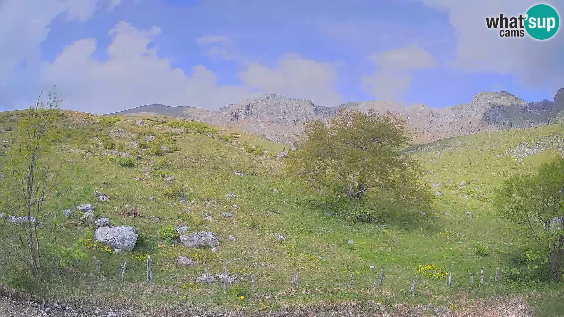 Live cam Planina Kuhinja – Monte Nero ( Krn ) – Caporetto – Slovenia