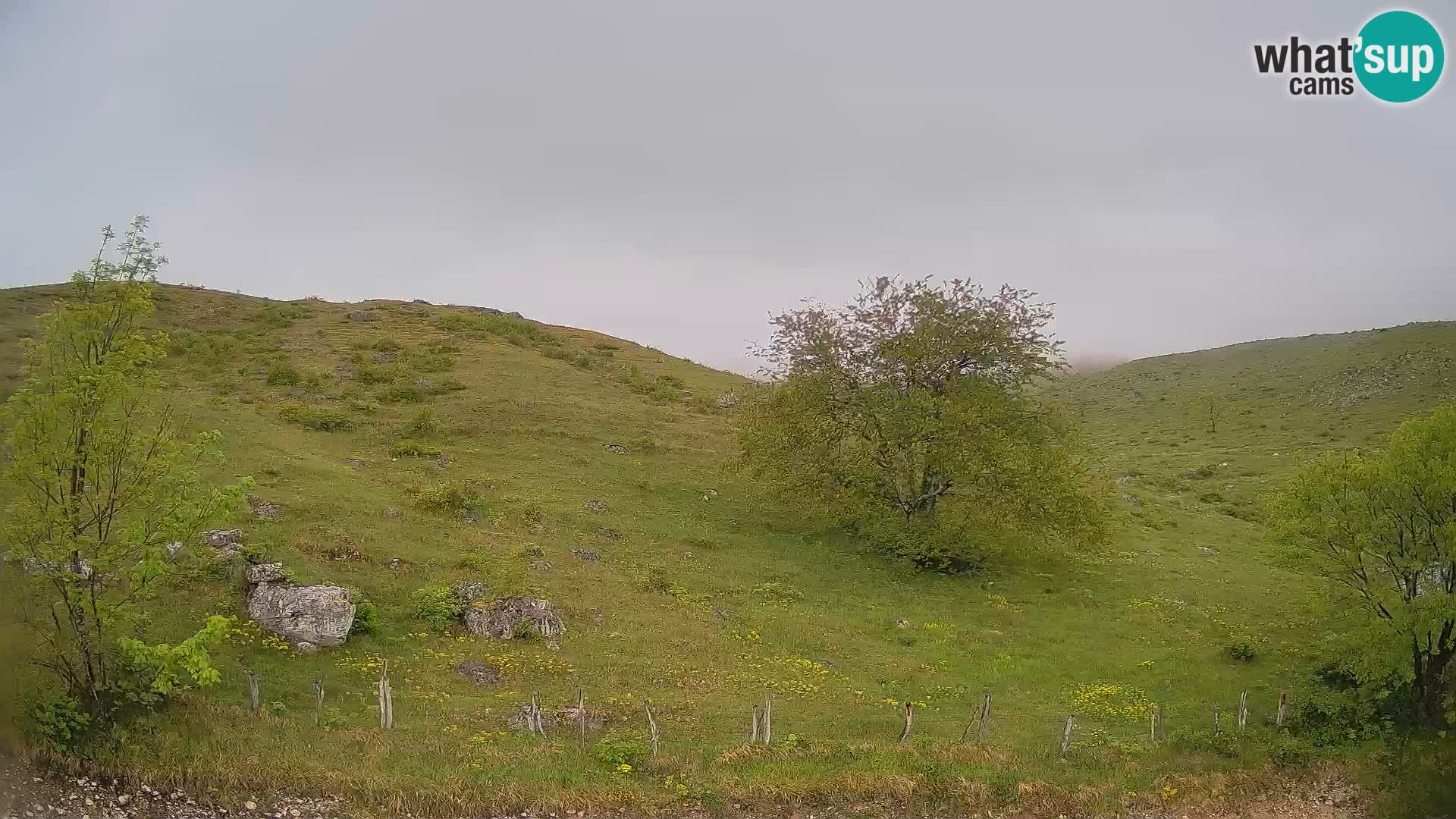 Web kamera Planina Kuhinja – KRN – Kobarid – Slovenija