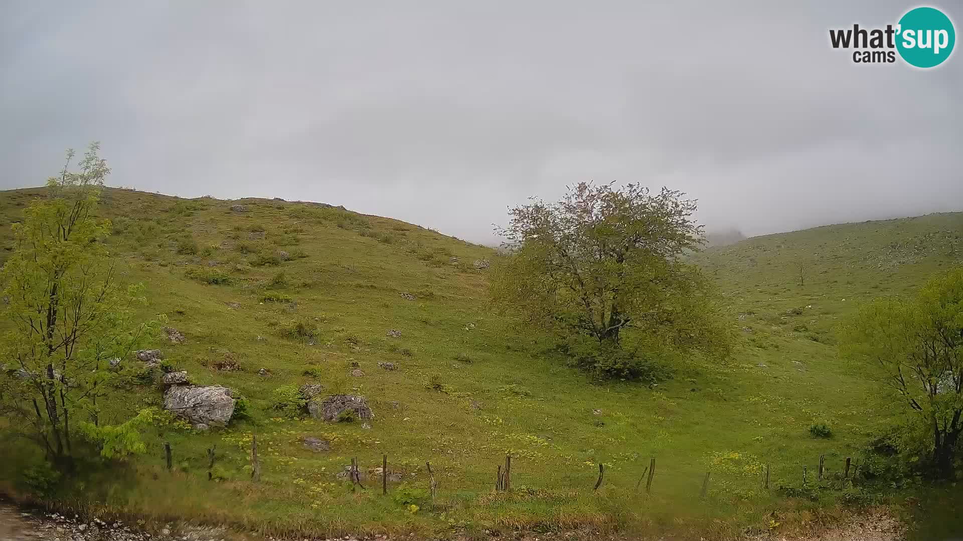 Livecam Planina Kuhinja – KRN- Kobarid – Slovénie