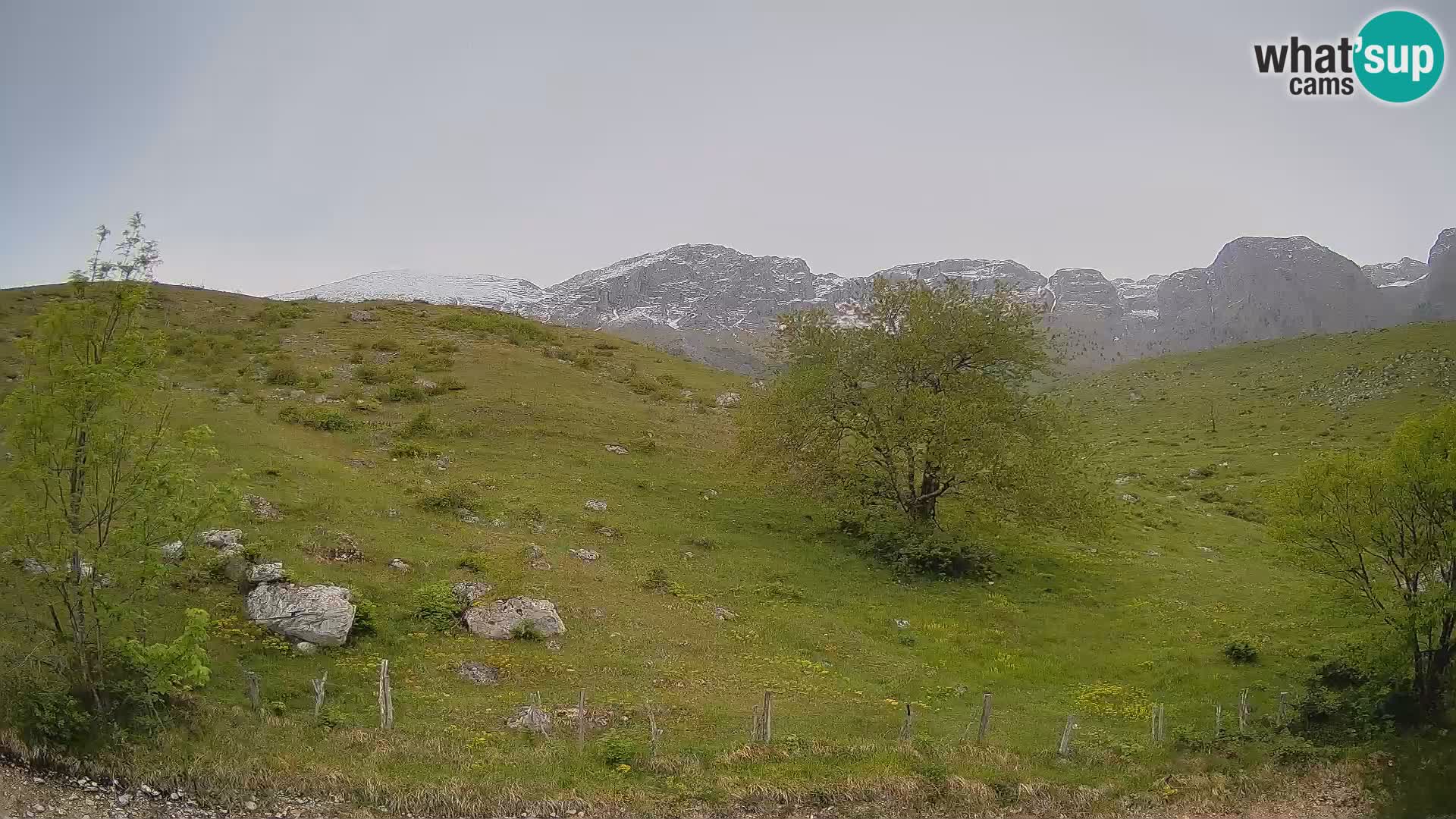 Livecam Planina Kuhinja – KRN- Kobarid – Slovénie
